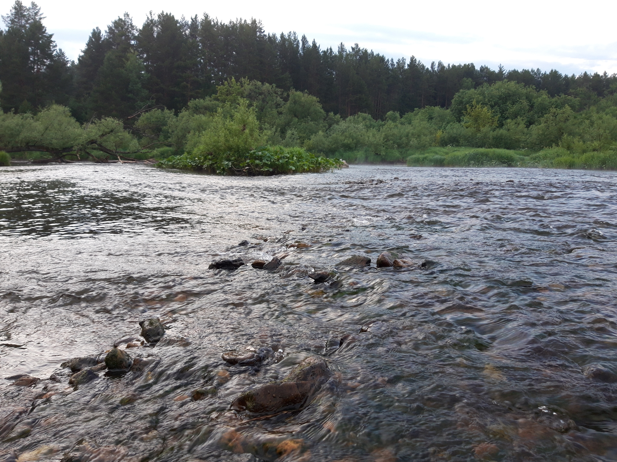 On the eve of summer rafting - My, River, Alloy, Video, Longpost, River rafting