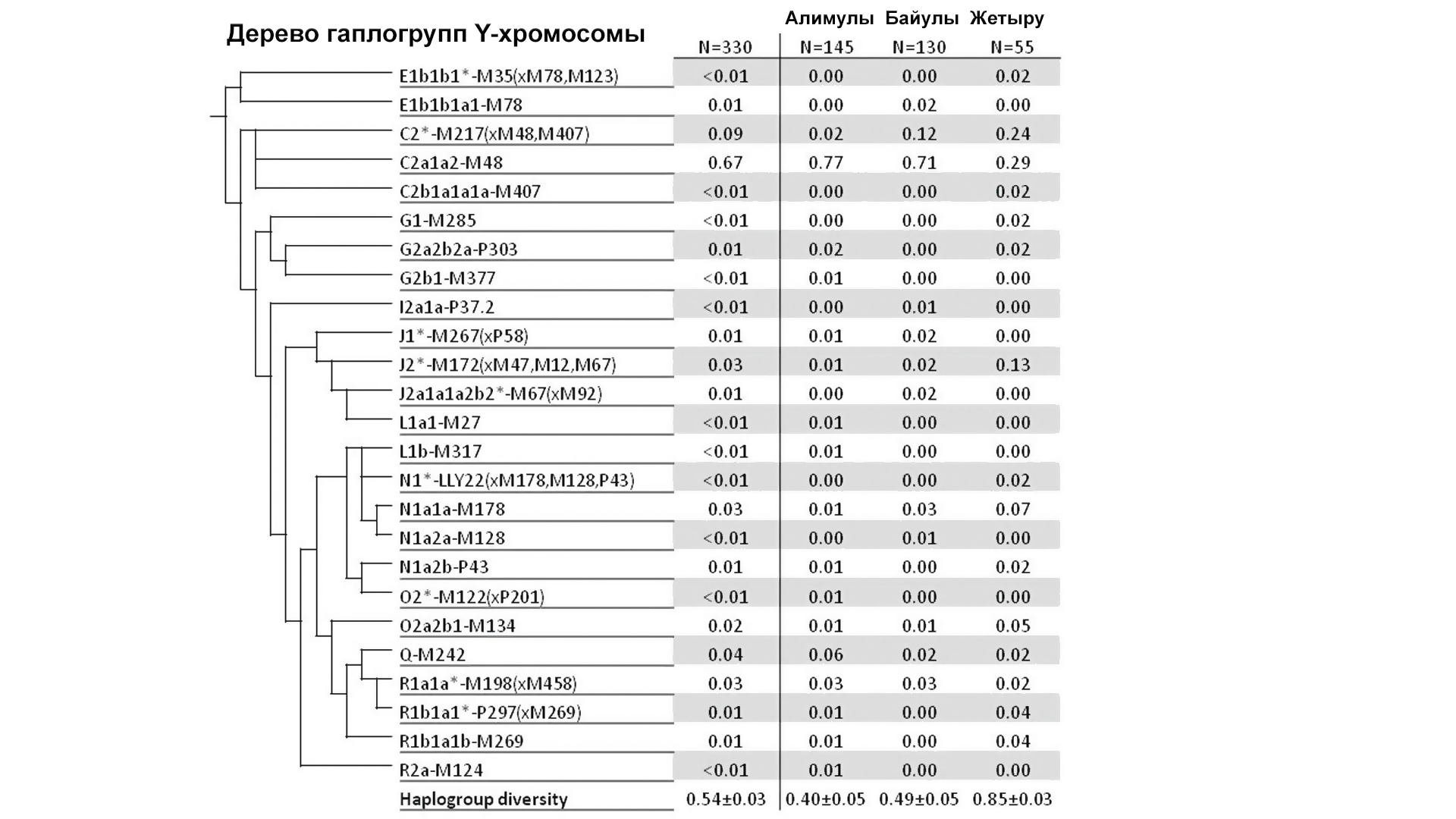 The origin of the Kazakhs of the Junior Zhuz from the point of view of genetics (male line) - My, The science, Story, Kazakhs, Longpost, Video, Kazakhstan, Genetics, Population genetics, Research, GIF