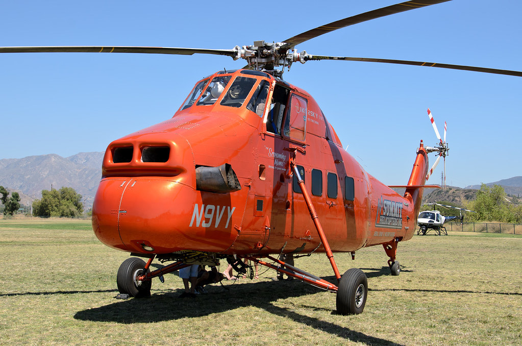 S-58T Пумба - Вертолет, Пумба, Ассоциации, Юмор