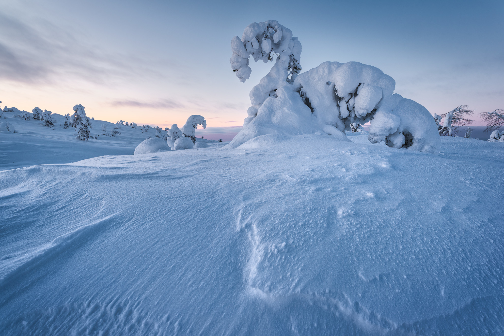 The sun will rise... - My, The photo, Landscape, Arctic, Nikon D750, Sunrises and sunsets