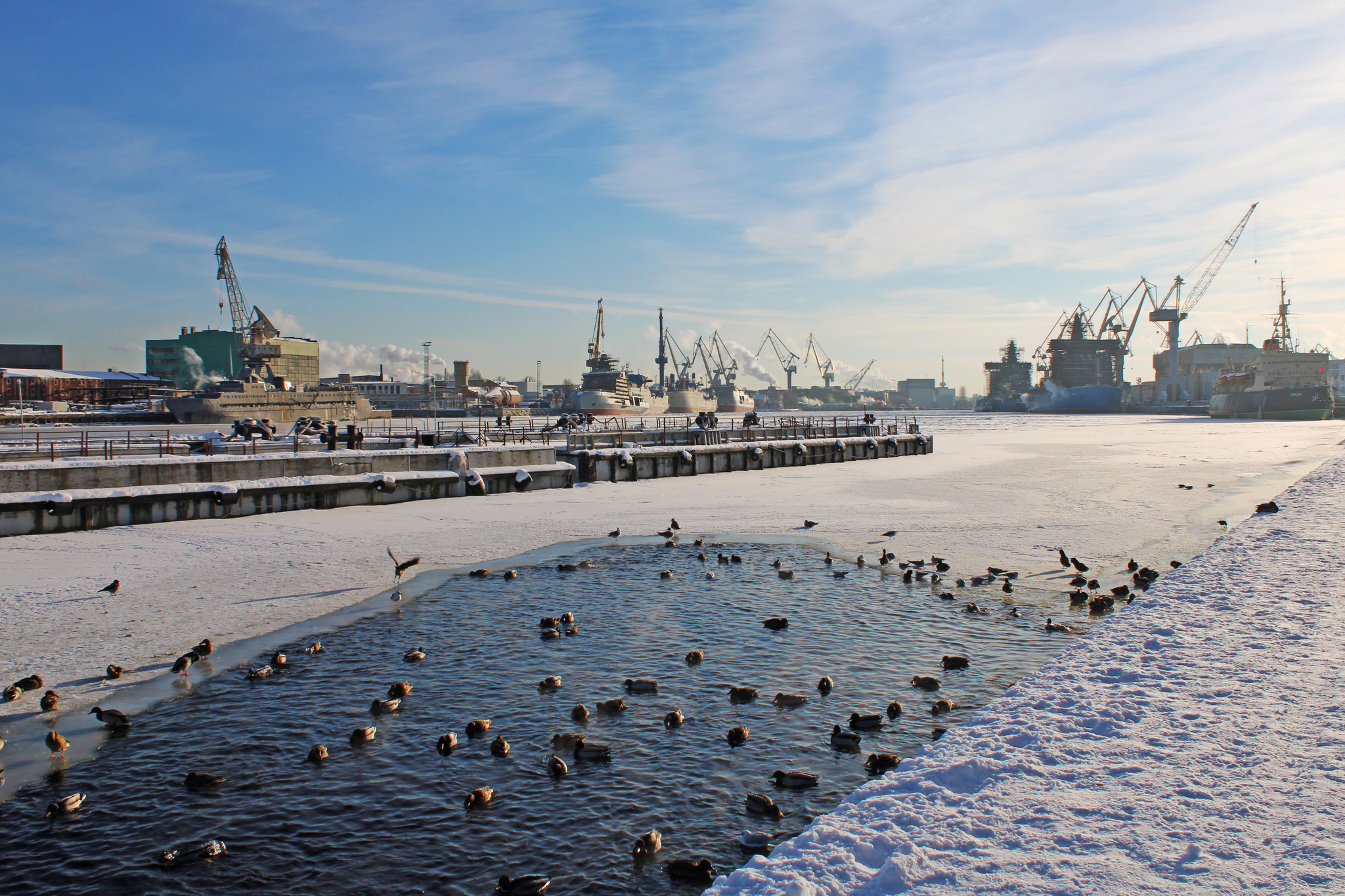 Saint Petersburg - My, The photo, Tourism, Saint Petersburg, Russia, Longpost