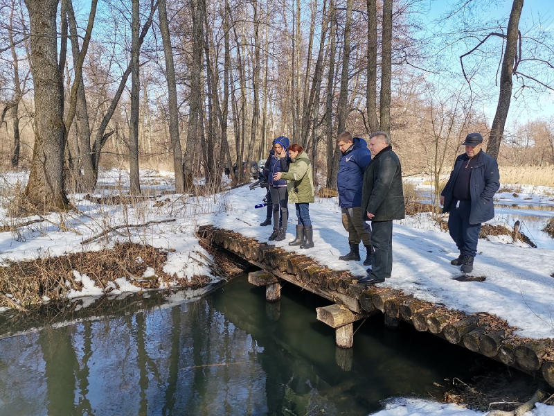 Ecological disaster in the Voronezh and Lipetsk regions: Red Book animals are in danger - Negative, news, Nature, Ecology, Catastrophe, Death, A fish, Animals, Reserves and sanctuaries, Negligence, Расследование, Money, Longpost