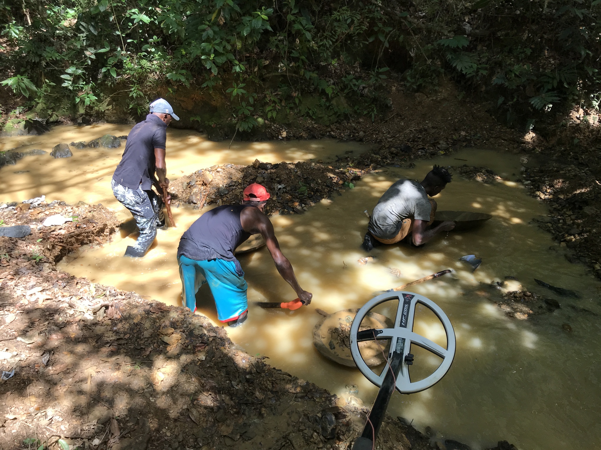 How gold nuggets are mined in the Dominican jungle. Gold is literally under your feet here! - My, Gold, Gold mining, Searching for gold, Metal detector, Video, Longpost, Dominican Republic