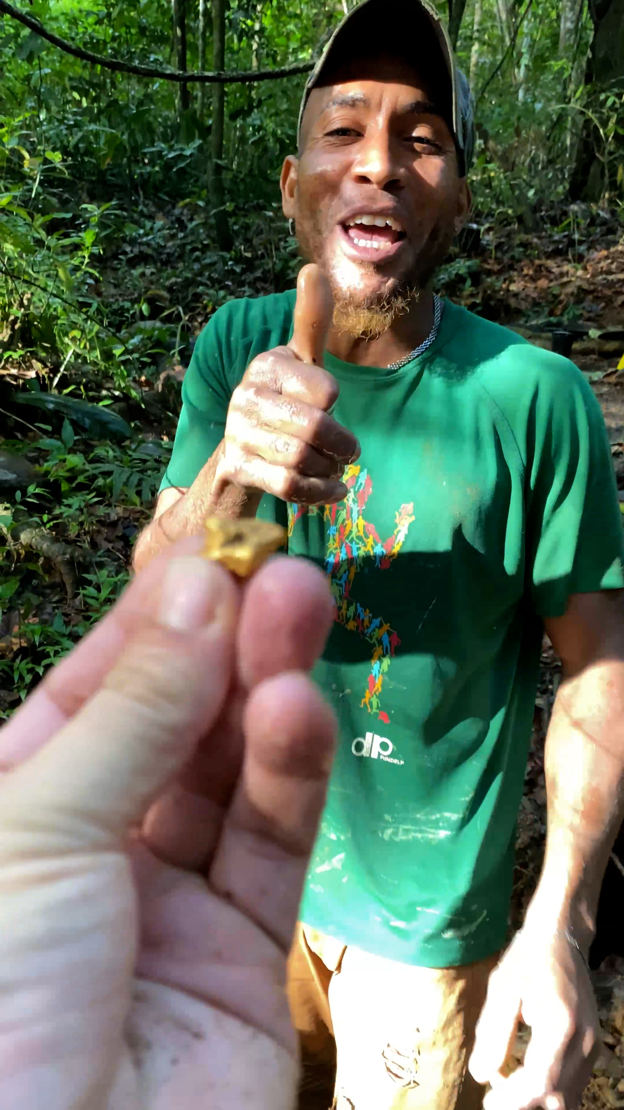 How gold nuggets are mined in the Dominican jungle. Gold is literally under your feet here! - My, Gold, Gold mining, Searching for gold, Metal detector, Video, Longpost, Dominican Republic