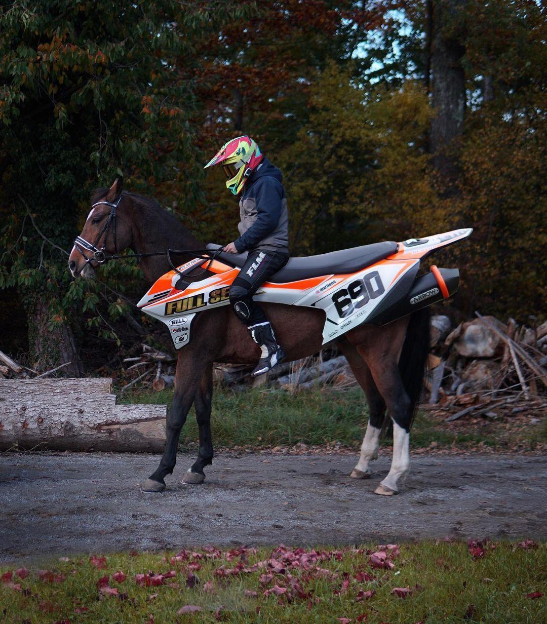 Rare breed - Moto, Motorcycles, Horses