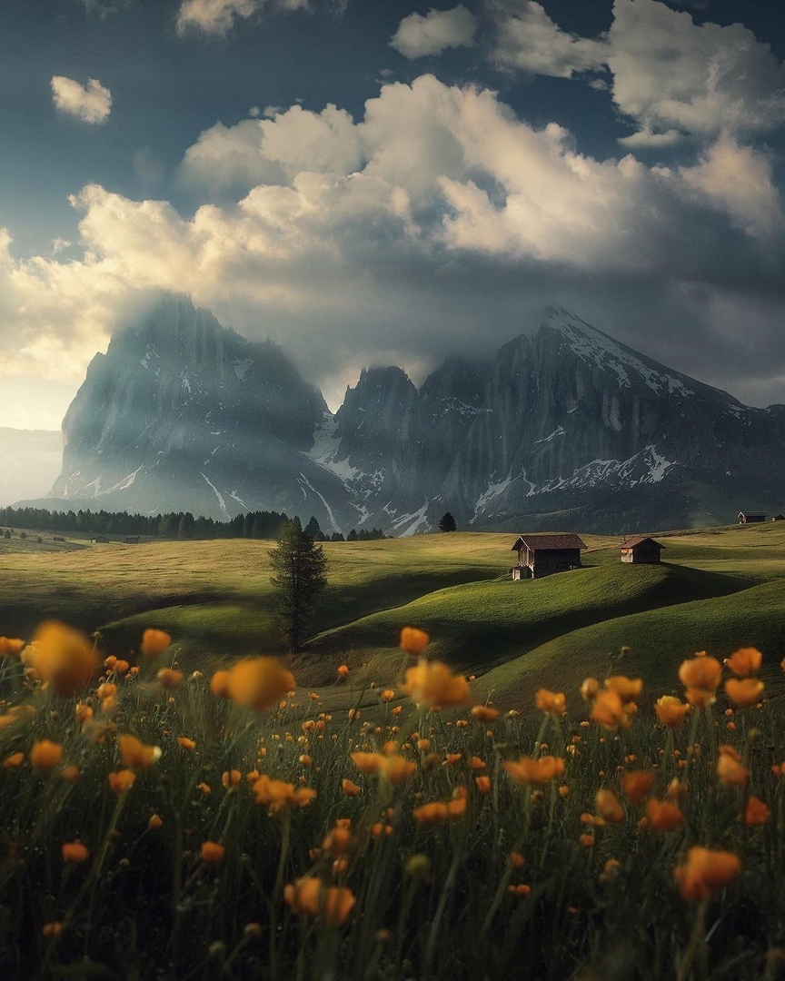 Dolomites, Italy - Italy, The mountains, Dolomites, The photo, Europe, Flowers, Nature, beauty of nature