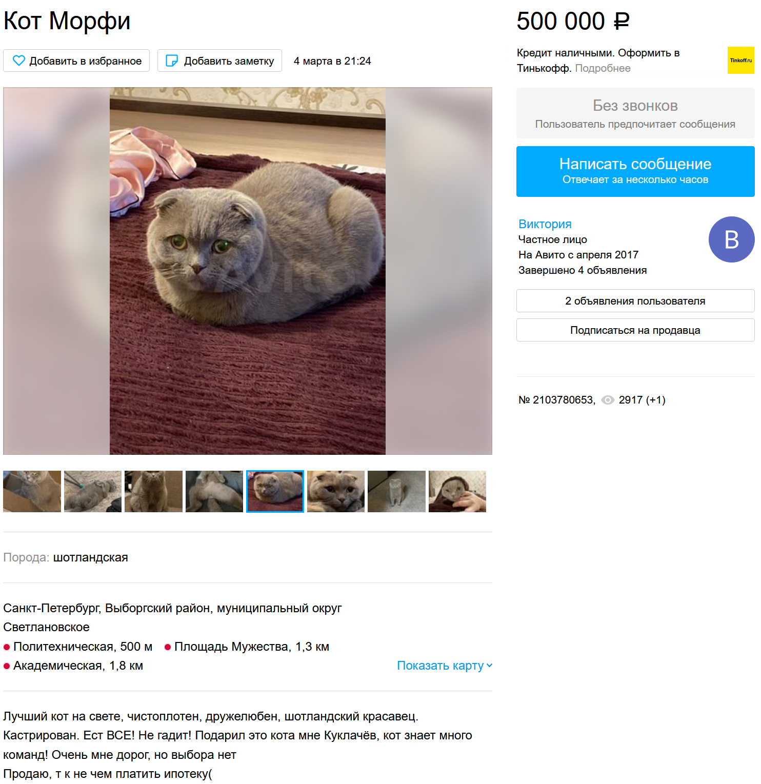 Когда ипотека важнее кота | Пикабу