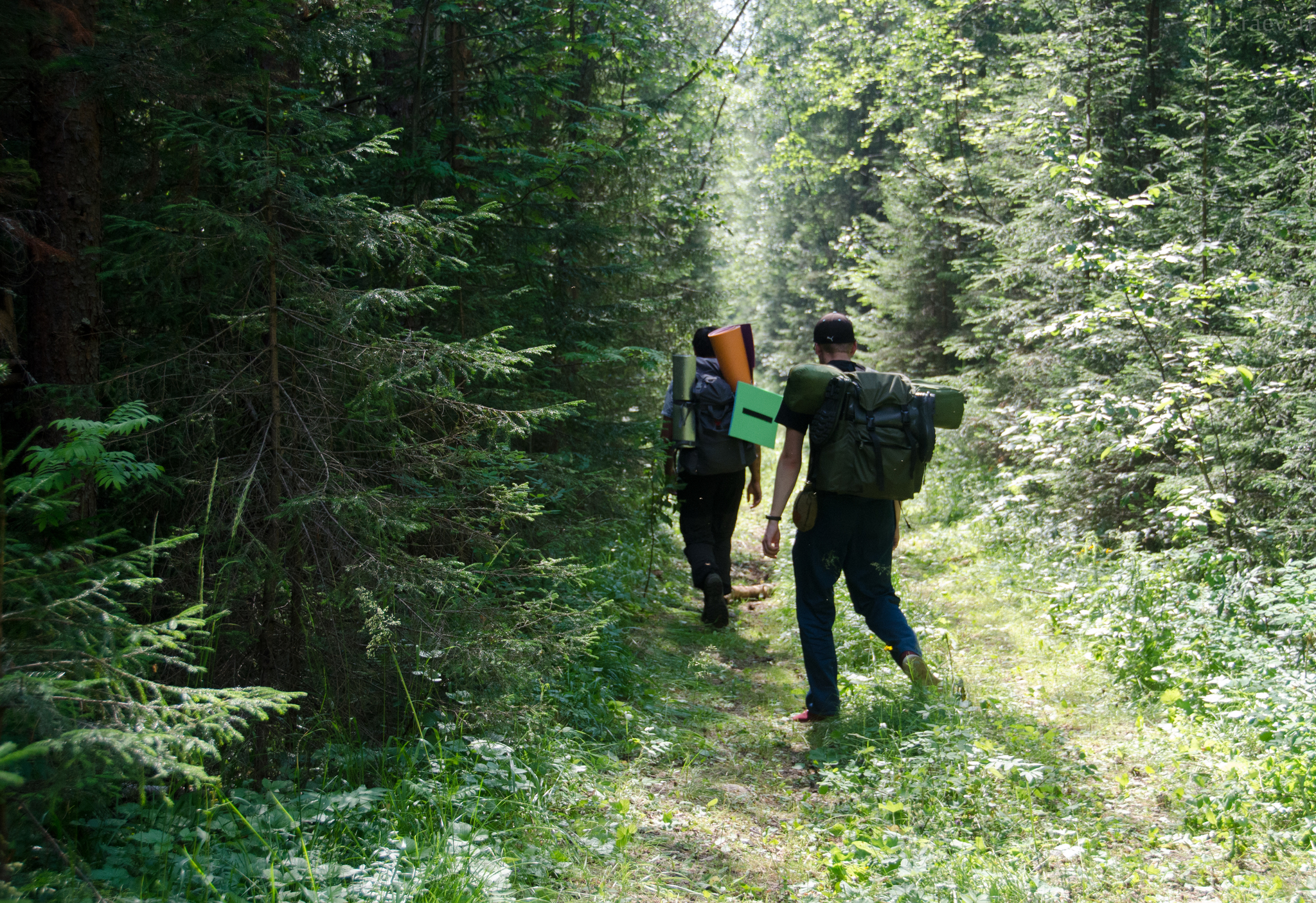 Reply to the post “Summer in the Southern Urals”. The Urals are really a little Northern - My, Nature, Ural mountains, Summer, Russia, Longpost, The photo