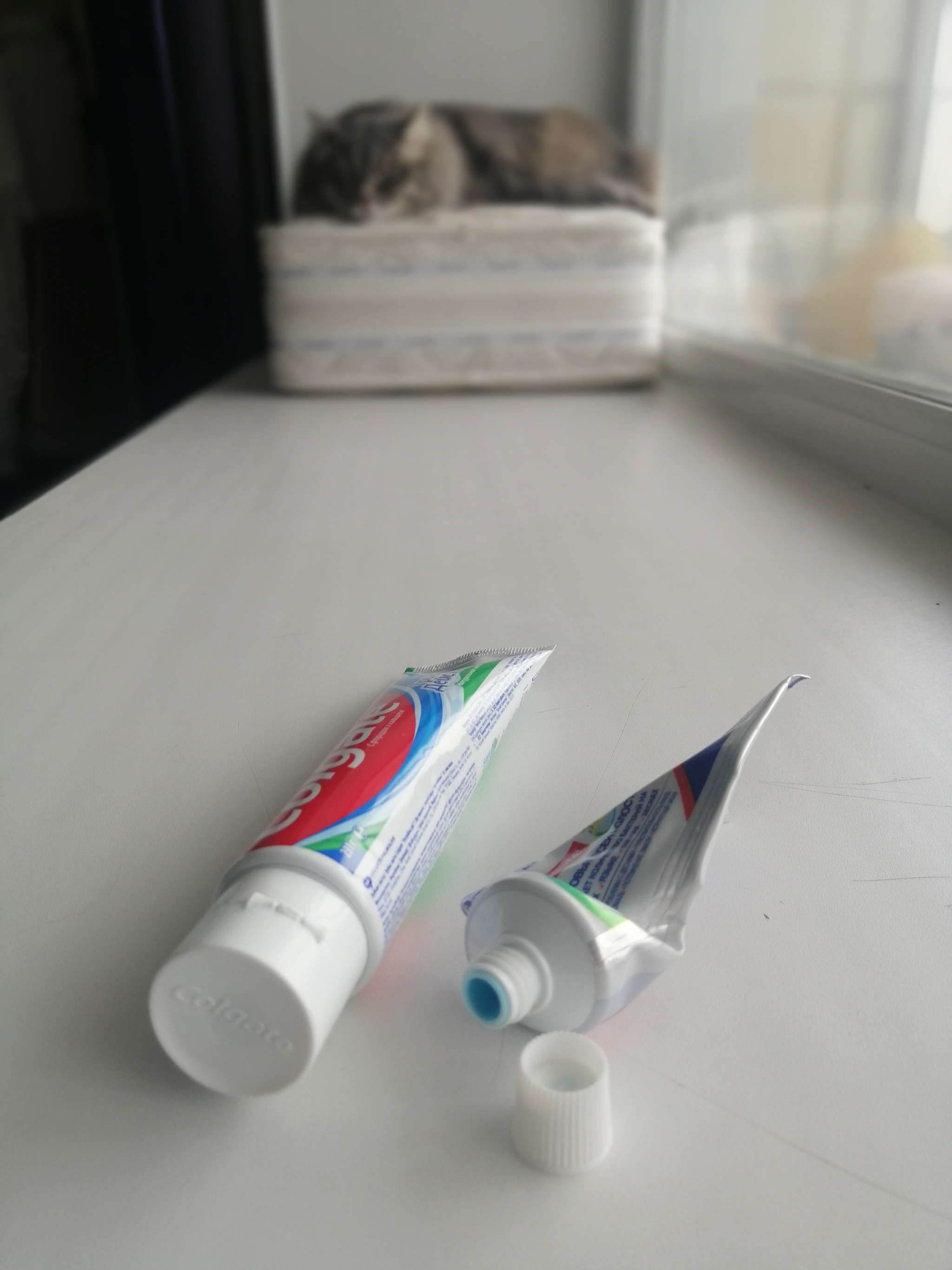 You're screwed! Life hack for the budget conscious - My, Life hack, Toothpaste, Toad smothers, Rogue, Longpost