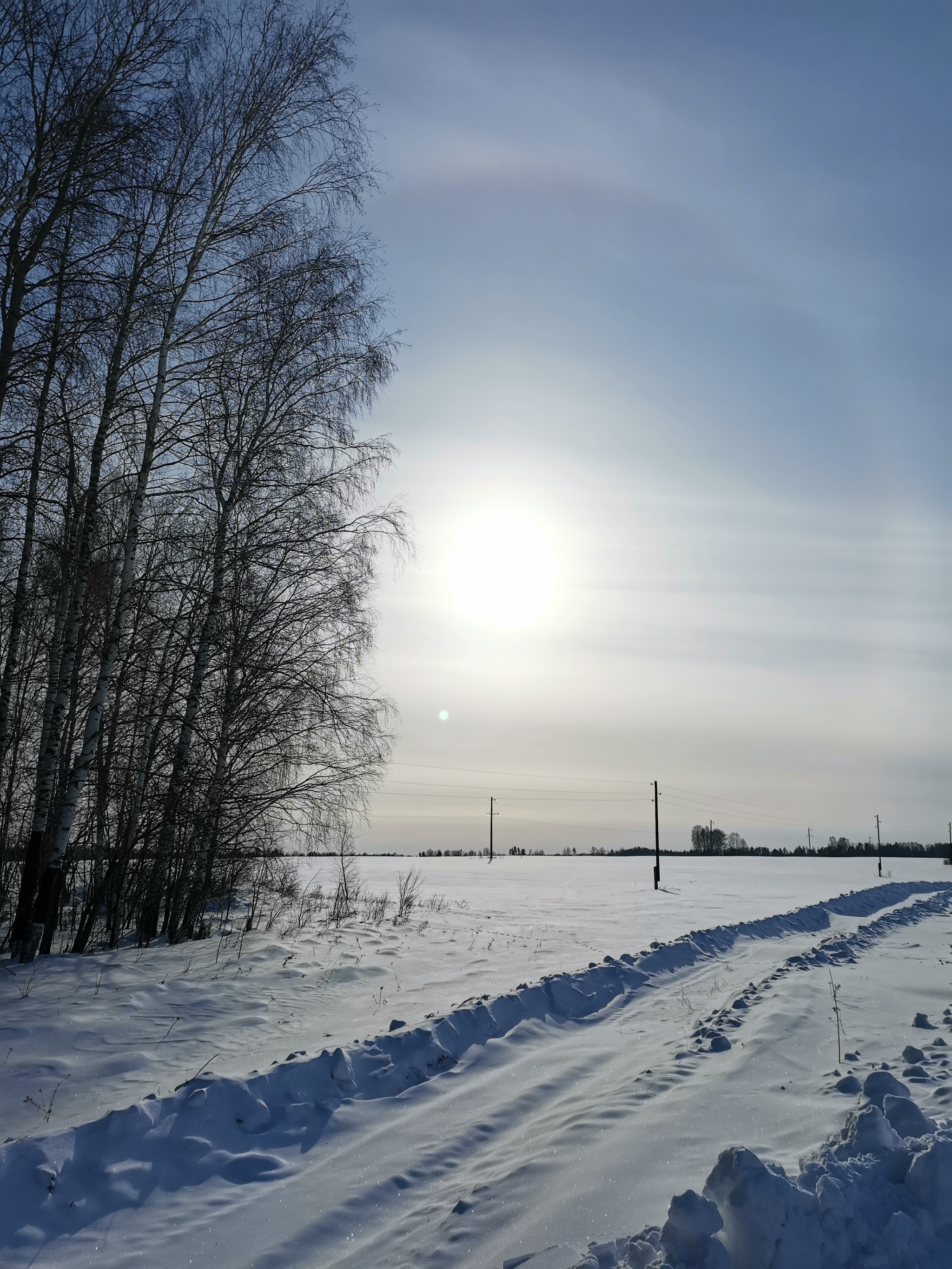 D. Kargachi, Omsk region - My, Omsk region, Omsk, Container, Longpost