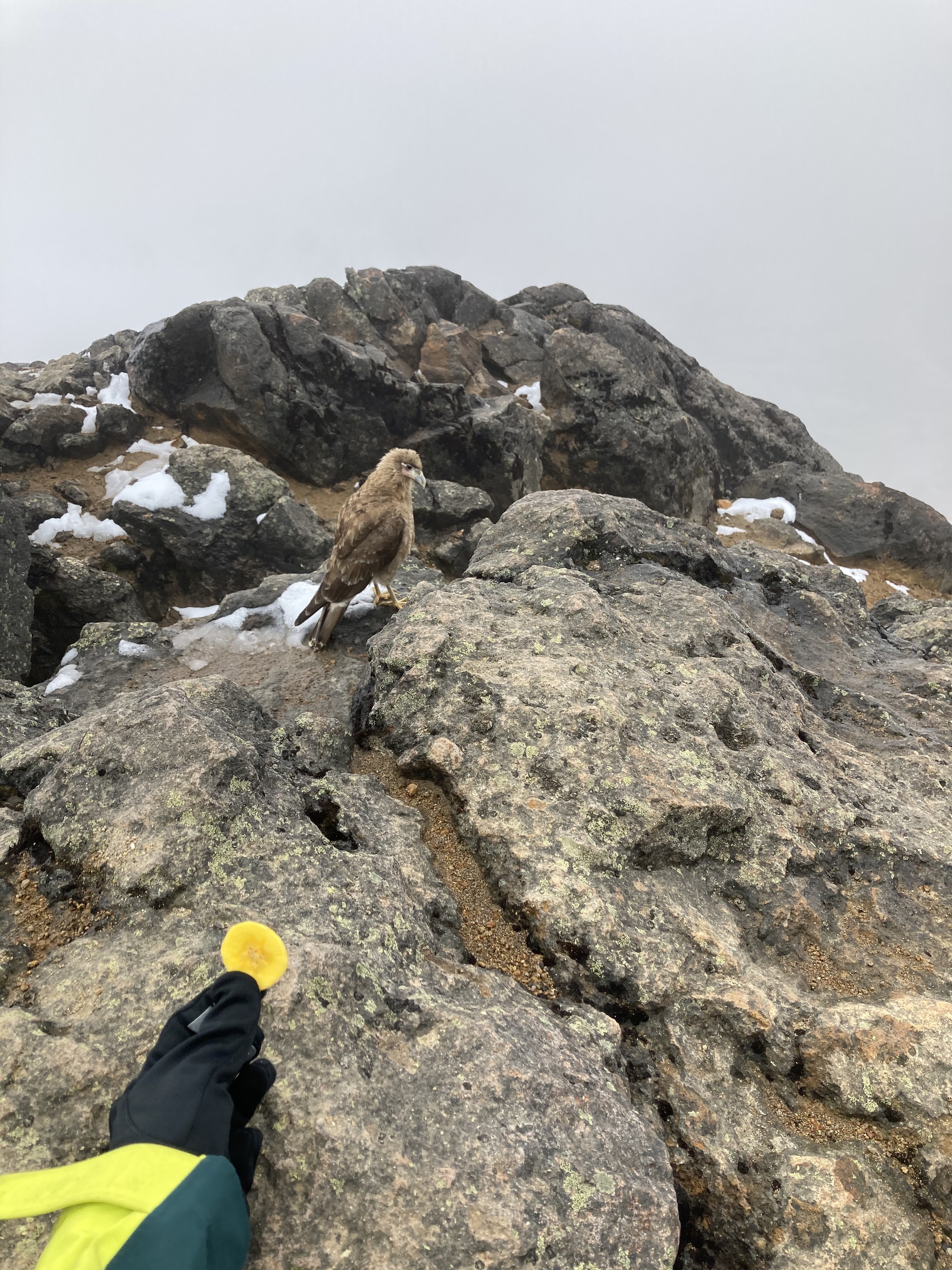 Ecuador and Volcanoes. Part 2: Guagua Pichincha and Illinitsa South - My, Ecuador, Travels, Nature, Longpost