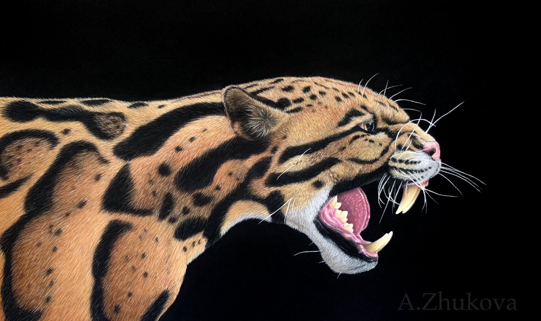 Clouded leopard - My, Animalistics, Graphics, Dry pastel, Clouded leopard, Pastel pencils, Drawing