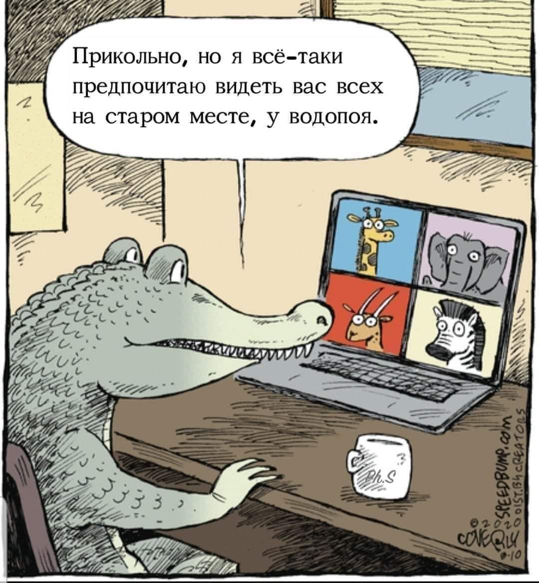 Одной картинкой сыт не будешь - Карикатура, Крокодилы, Животные, Водопой, Видеоконференция, Голод, Комиксы