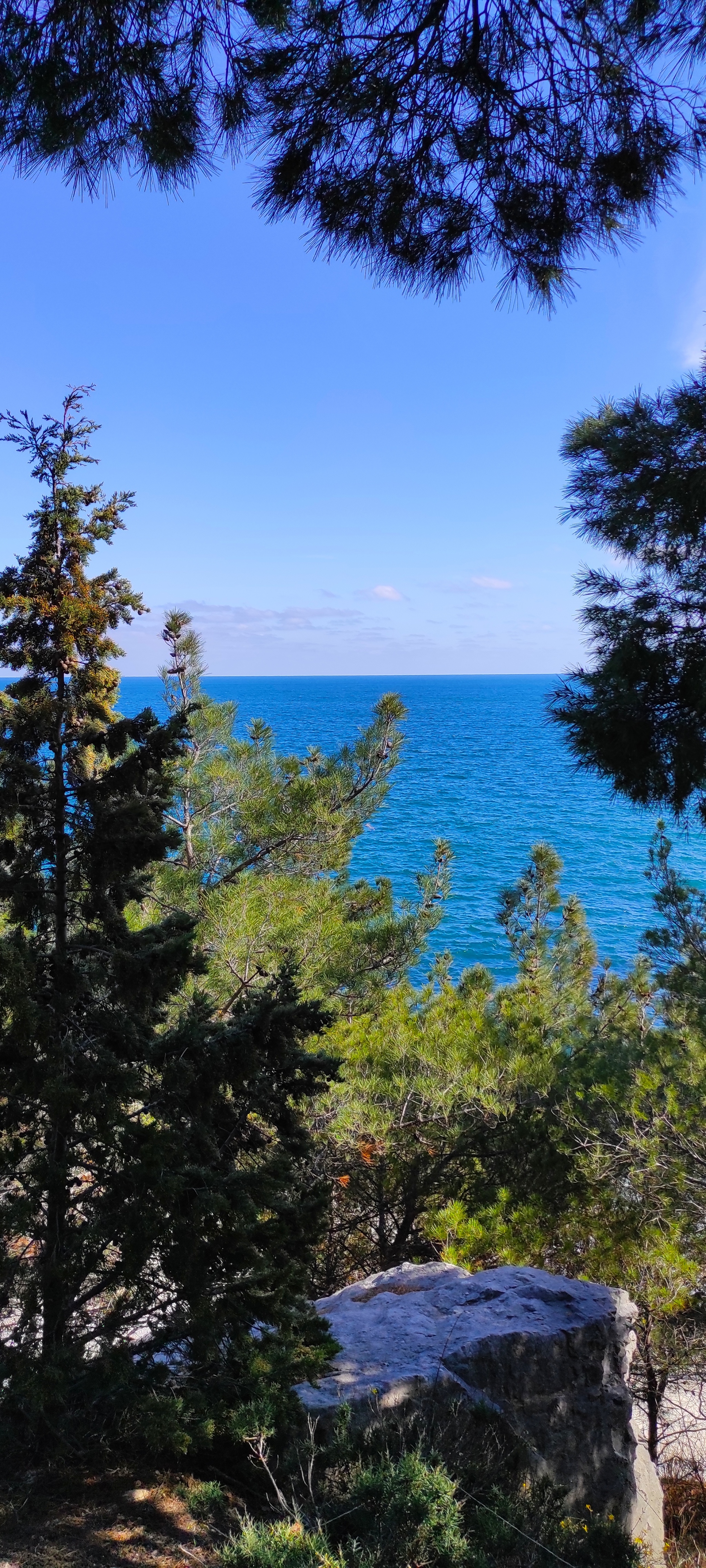 A little sea and warmth - My, Crimea, South, Black Sea, Spring, Longpost