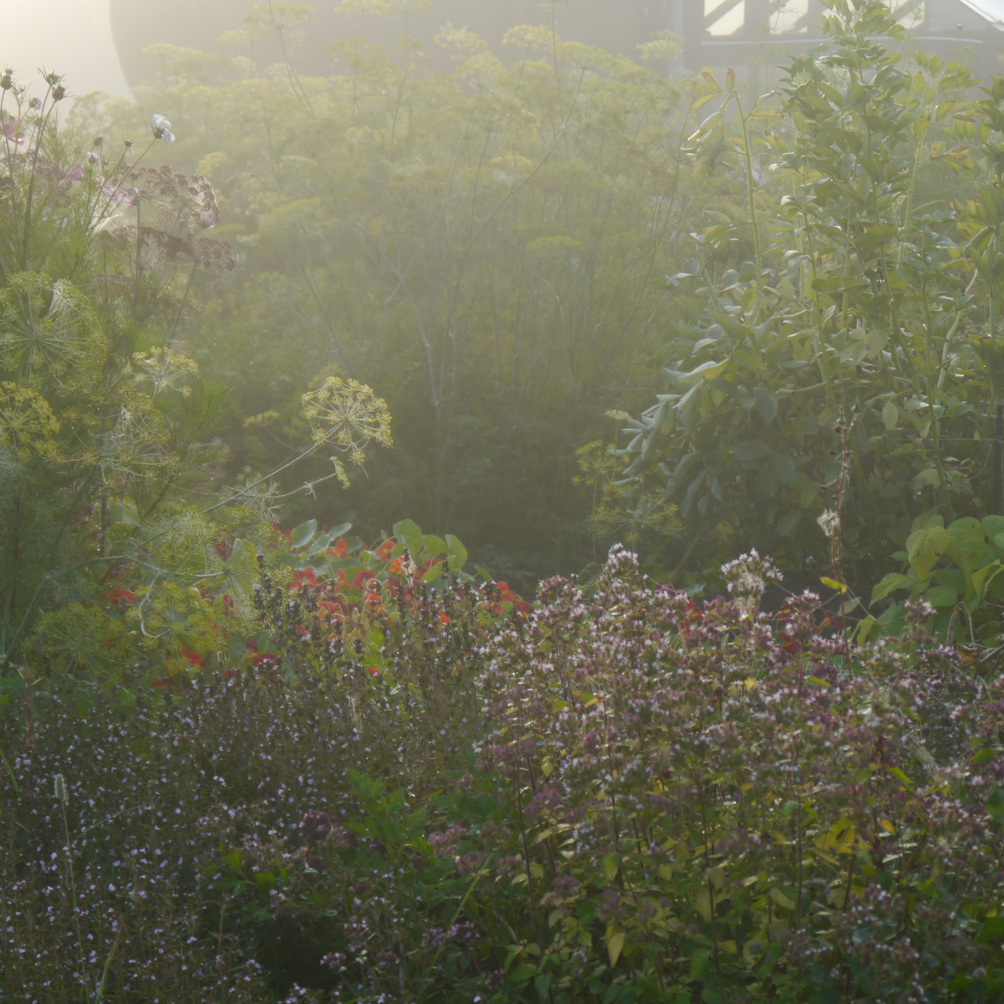 Garden aesthetics, part 2 - My, Ural, Dacha, Garden, Longpost