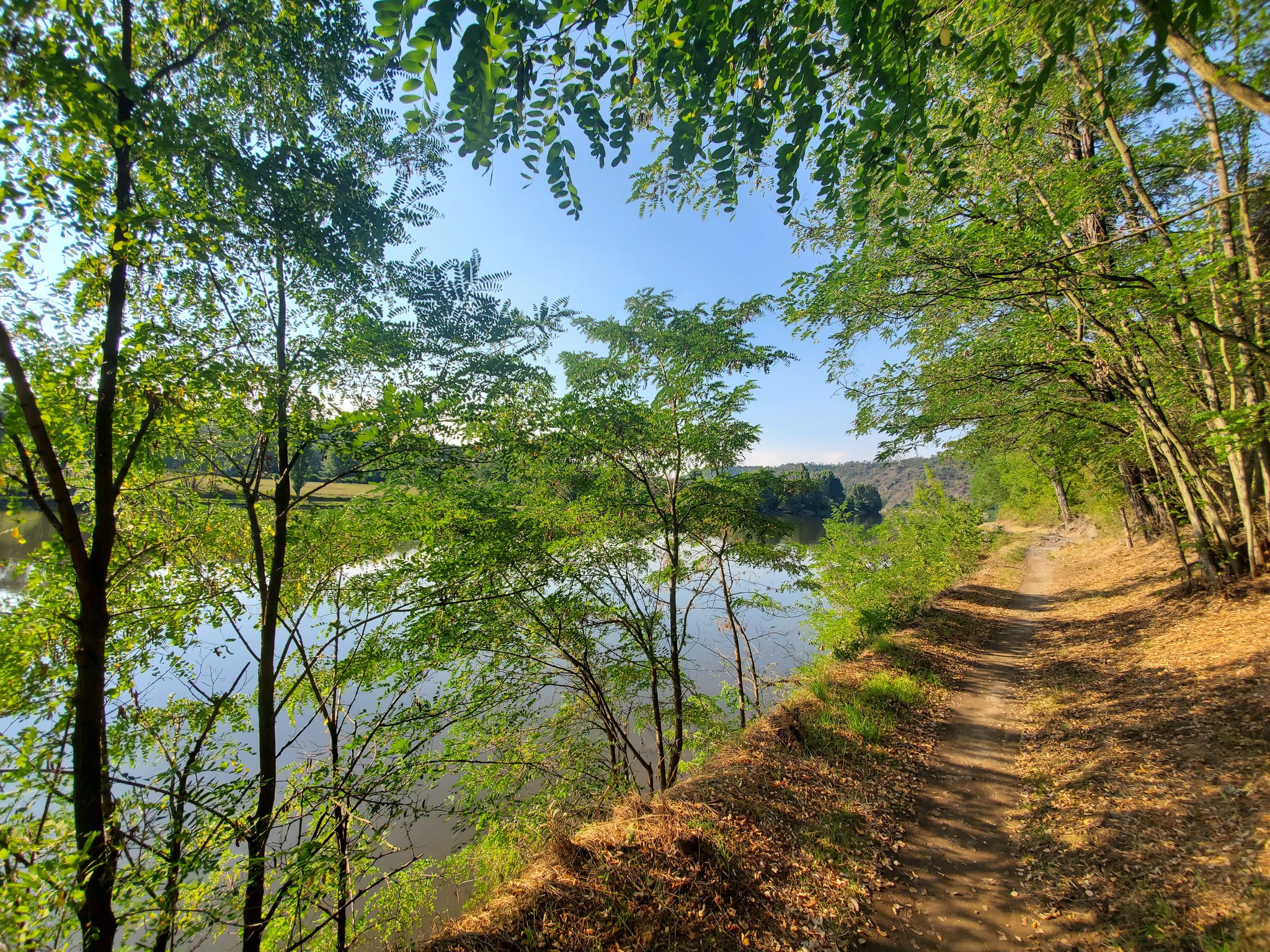 Astrologers have announced a week of longing for summer - My, Summer, Bike ride, Animals, Longpost