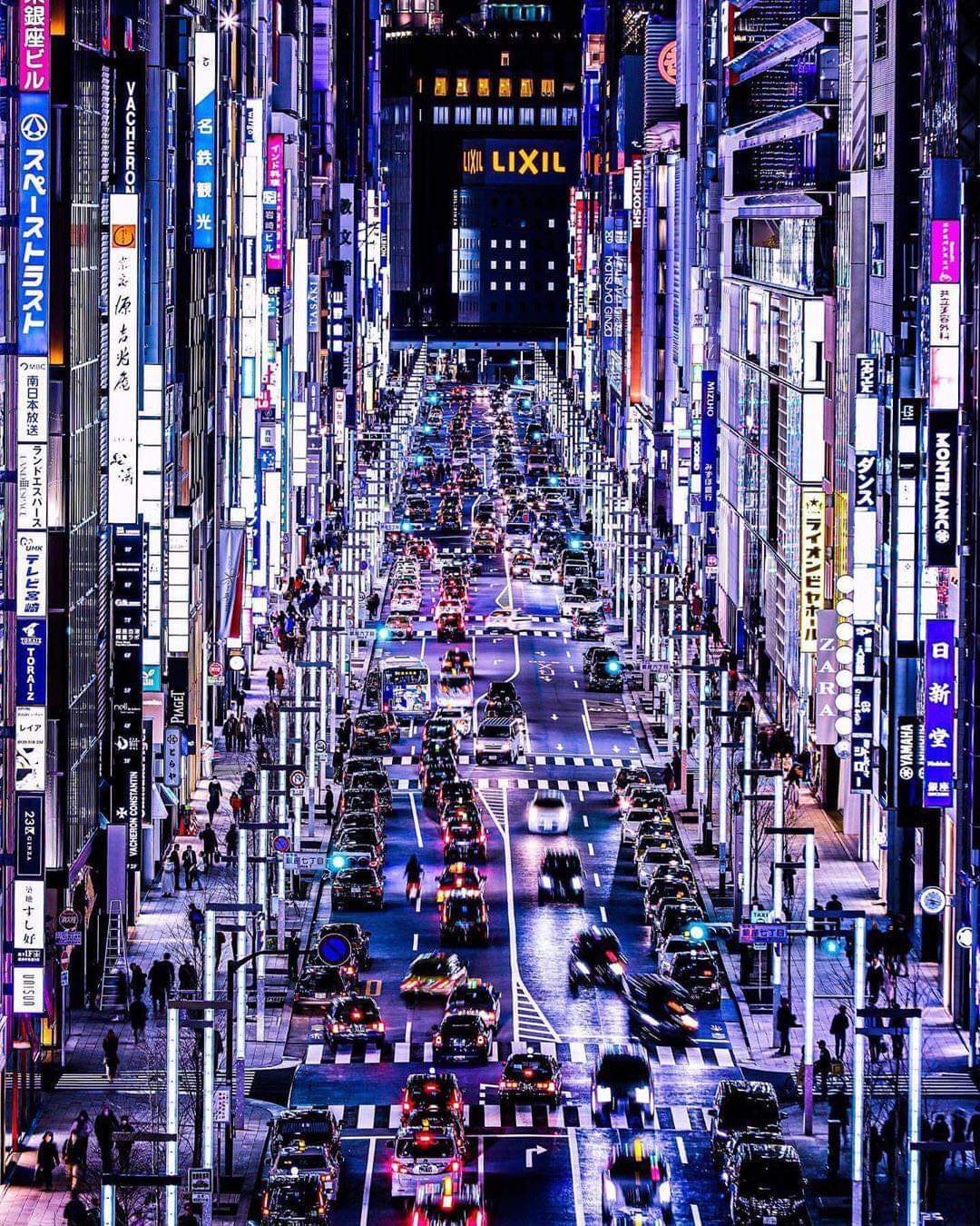 Evening Tokyo - Outdoor advertising, Japan, Tokyo, Neon, Night city, The photo