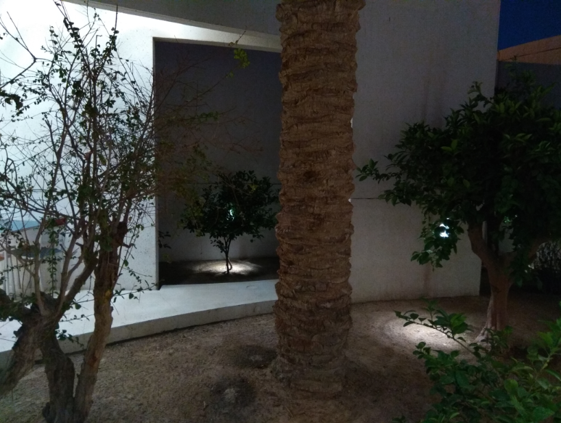 Bahrain. 1000 and 1 night - My, East, The photo, Travels, Botanical Garden, Museum, Longpost