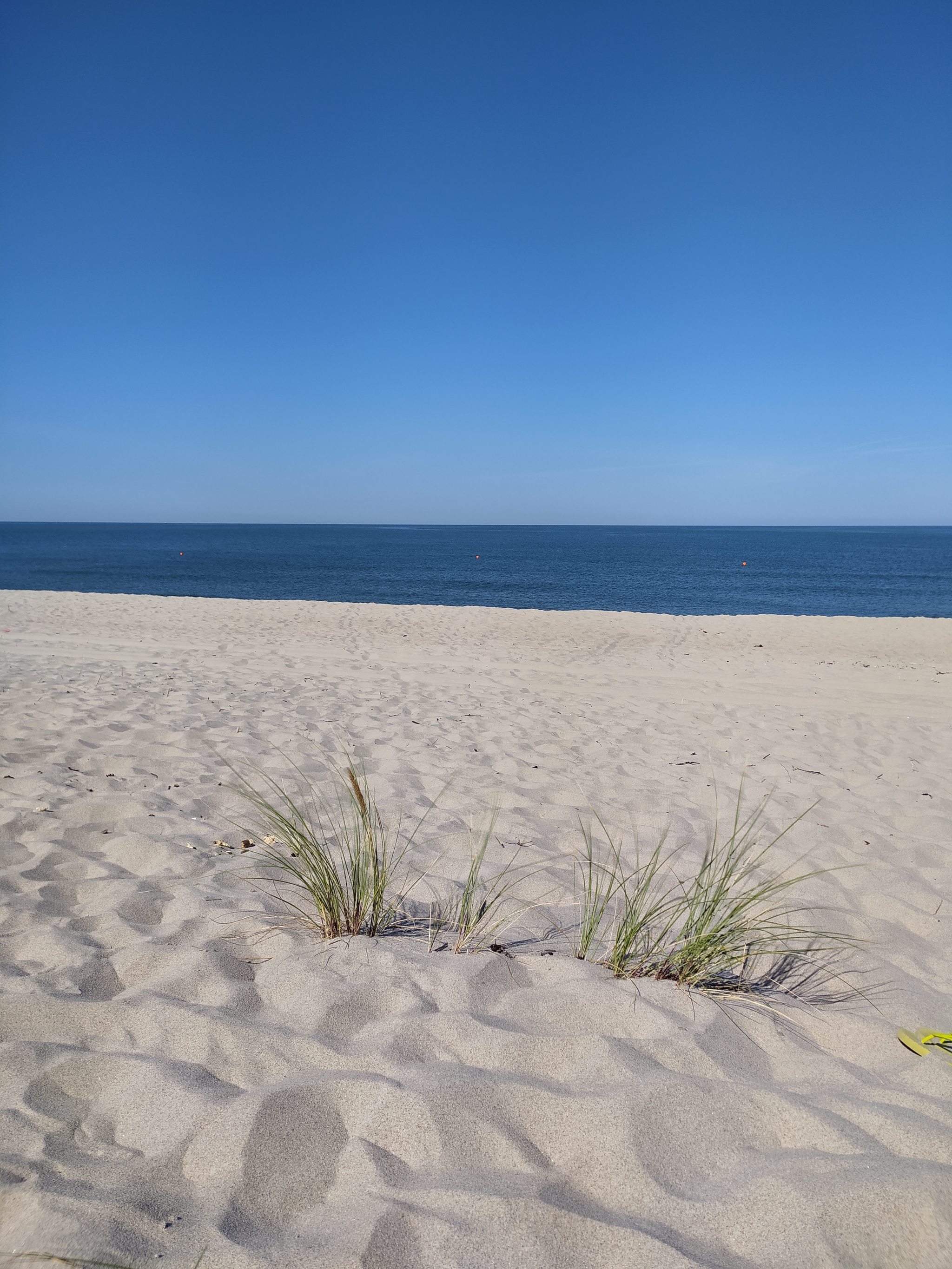 Summer Baltic - My, Kaliningrad, Kaliningrad region, Znamensk, Baltic Sea, Longpost