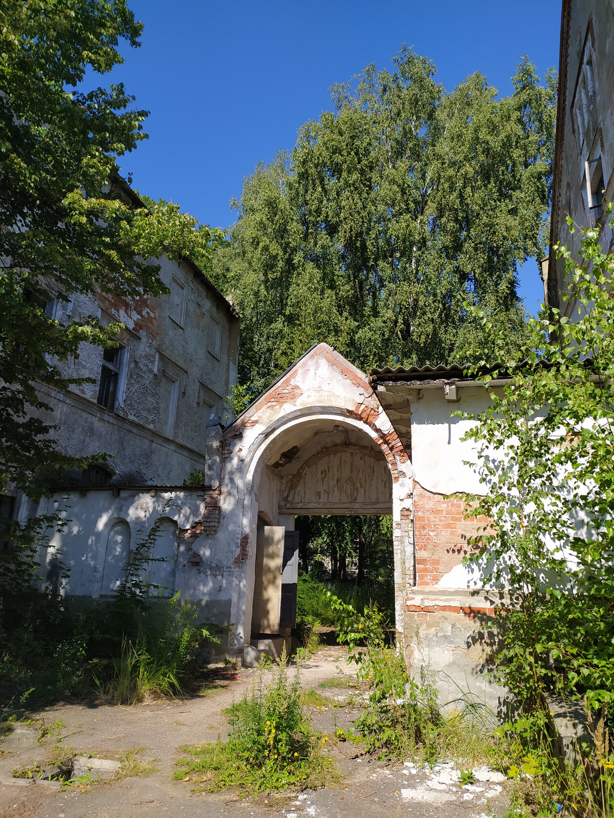 Summer Baltic - My, Kaliningrad, Kaliningrad region, Znamensk, Baltic Sea, Longpost