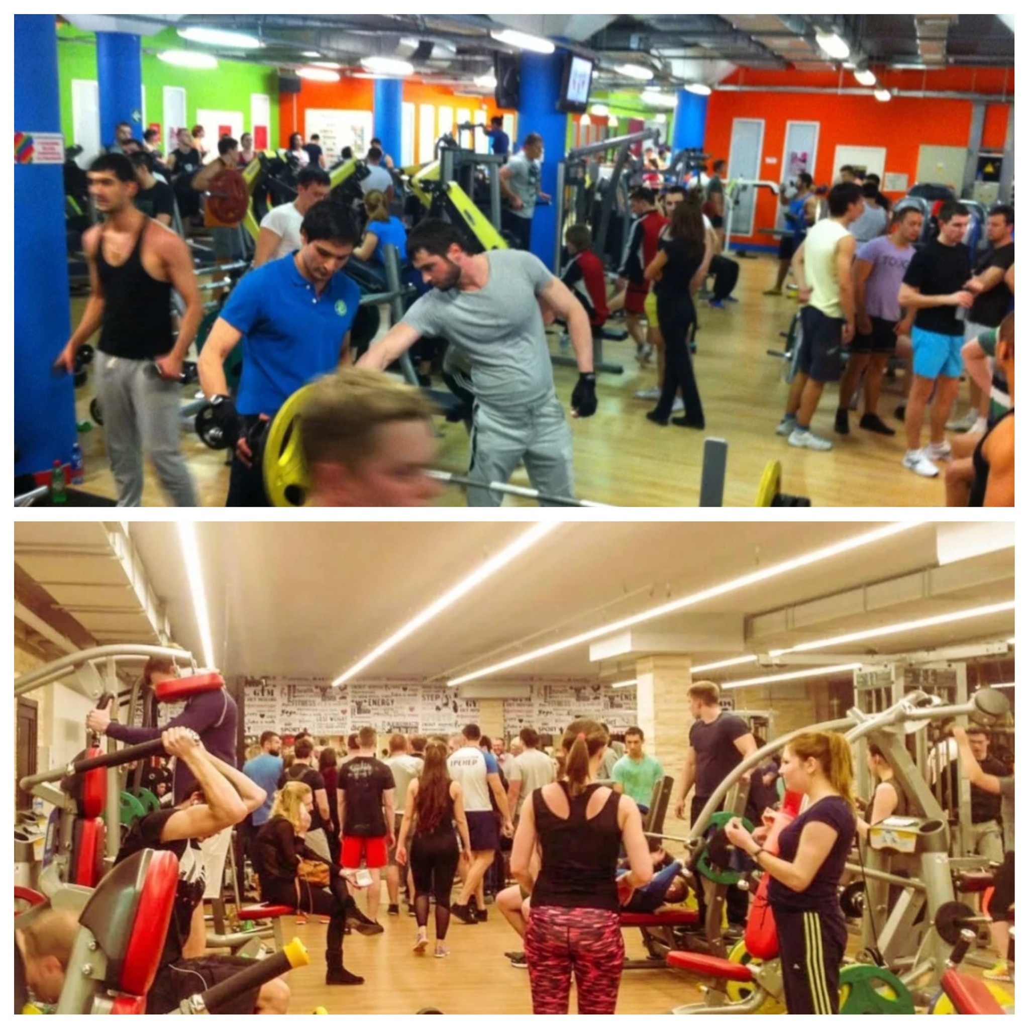 Spring is a time for crowded gyms - From the network, Sport, Gym, Athletes, Athletes, Spring, Drishch