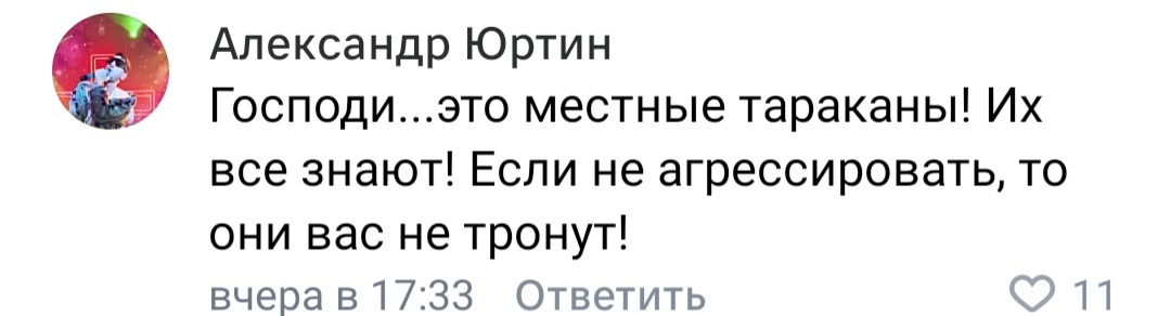 Мы в ответе за тех, кого приручили! - Скриншот, Бродячие собаки, Тараканы, Вредители, Юмор, Комментарии, Зоозащитники, Длиннопост