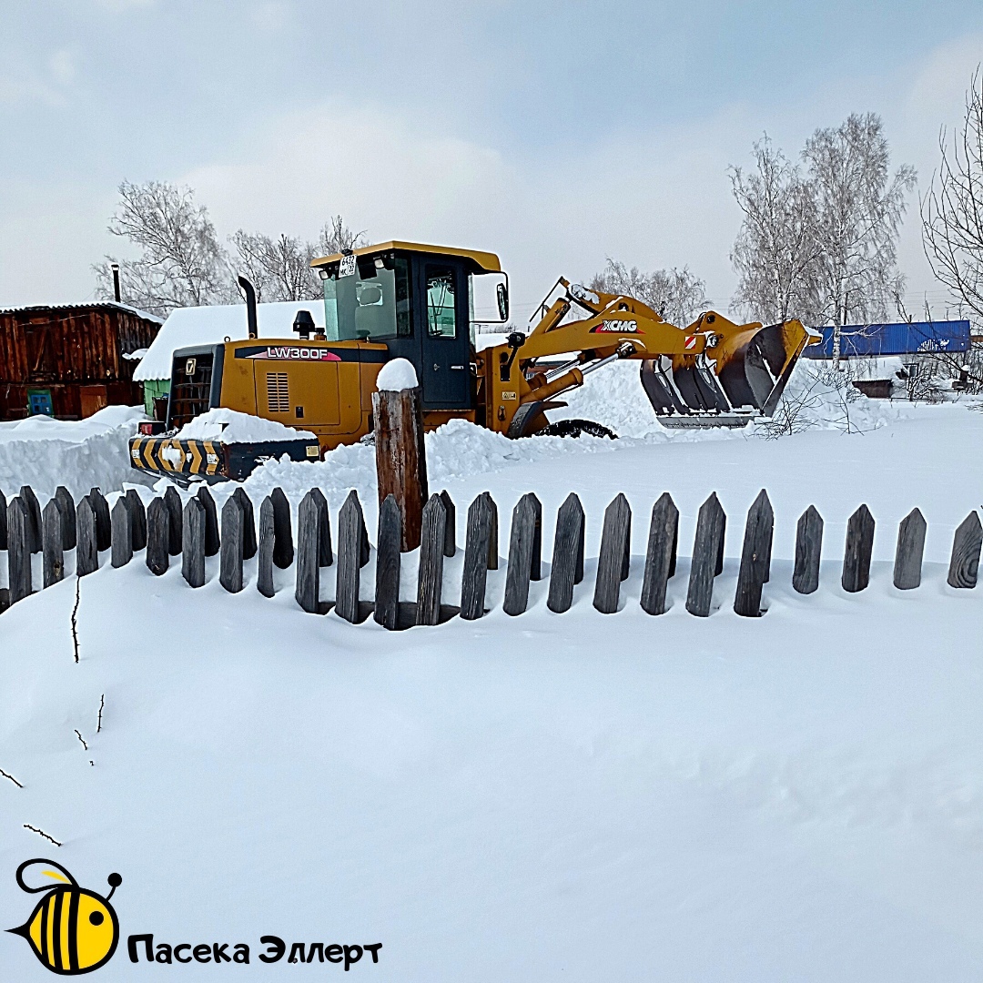 Spring in the apiary. Exhibition of bees from the winter hut - My, Beekeeping, Apiary, Forest, Work, Сельское хозяйство, Video, Longpost