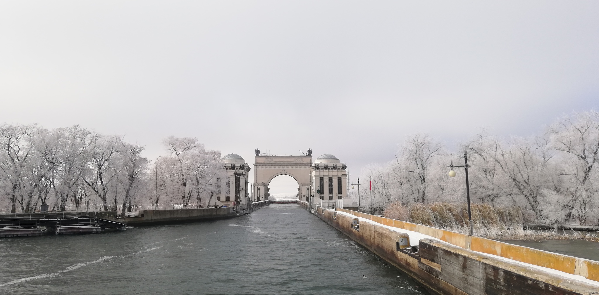 How barge haulers returned from the Volga, or another adventure of an ornithologist at sea - My, Ornithology, Bird watchers, The science, Work, Expedition, Sea, River, Video, Longpost