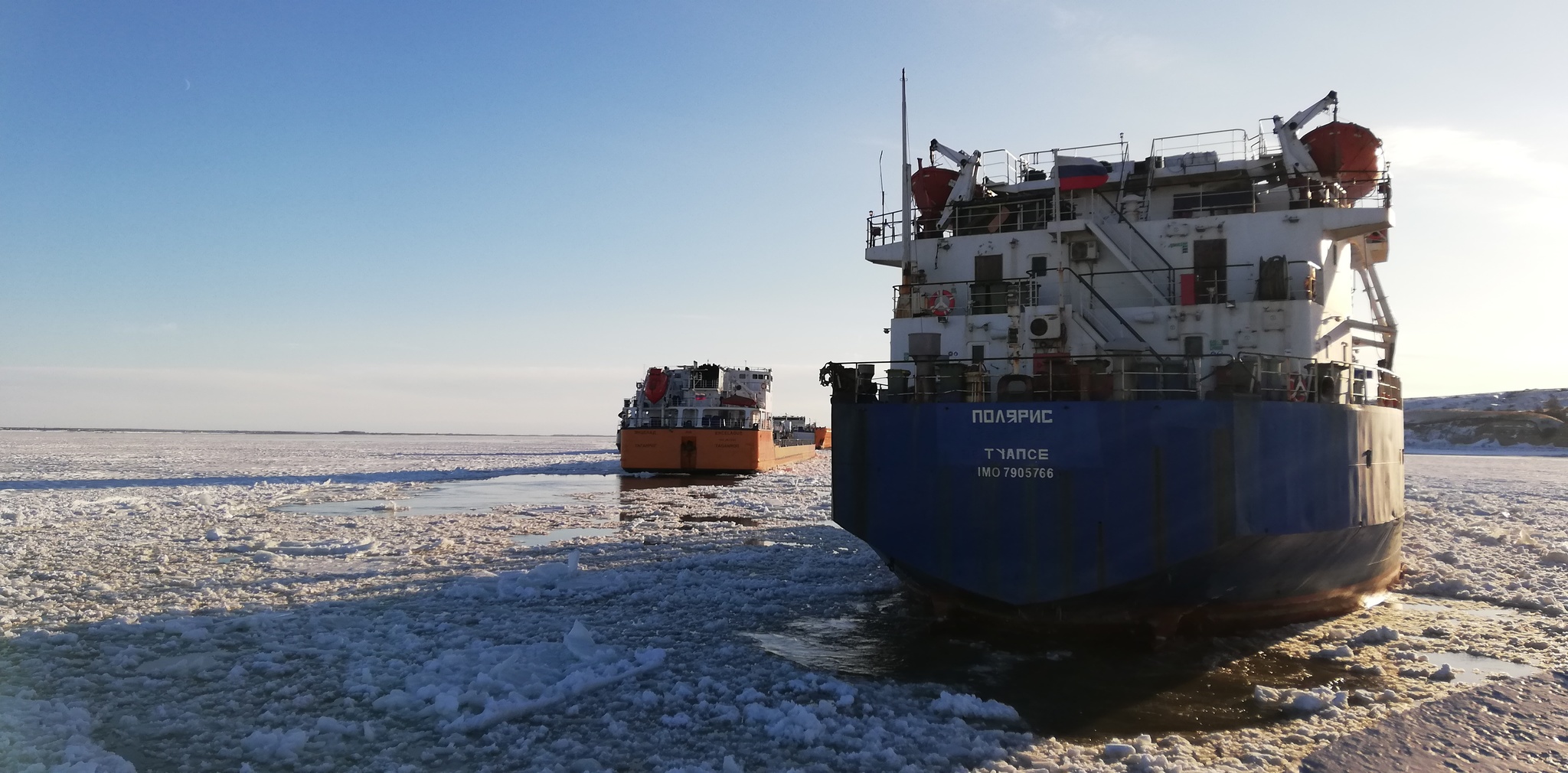 How barge haulers returned from the Volga, or another adventure of an ornithologist at sea - My, Ornithology, Bird watchers, The science, Work, Expedition, Sea, River, Video, Longpost