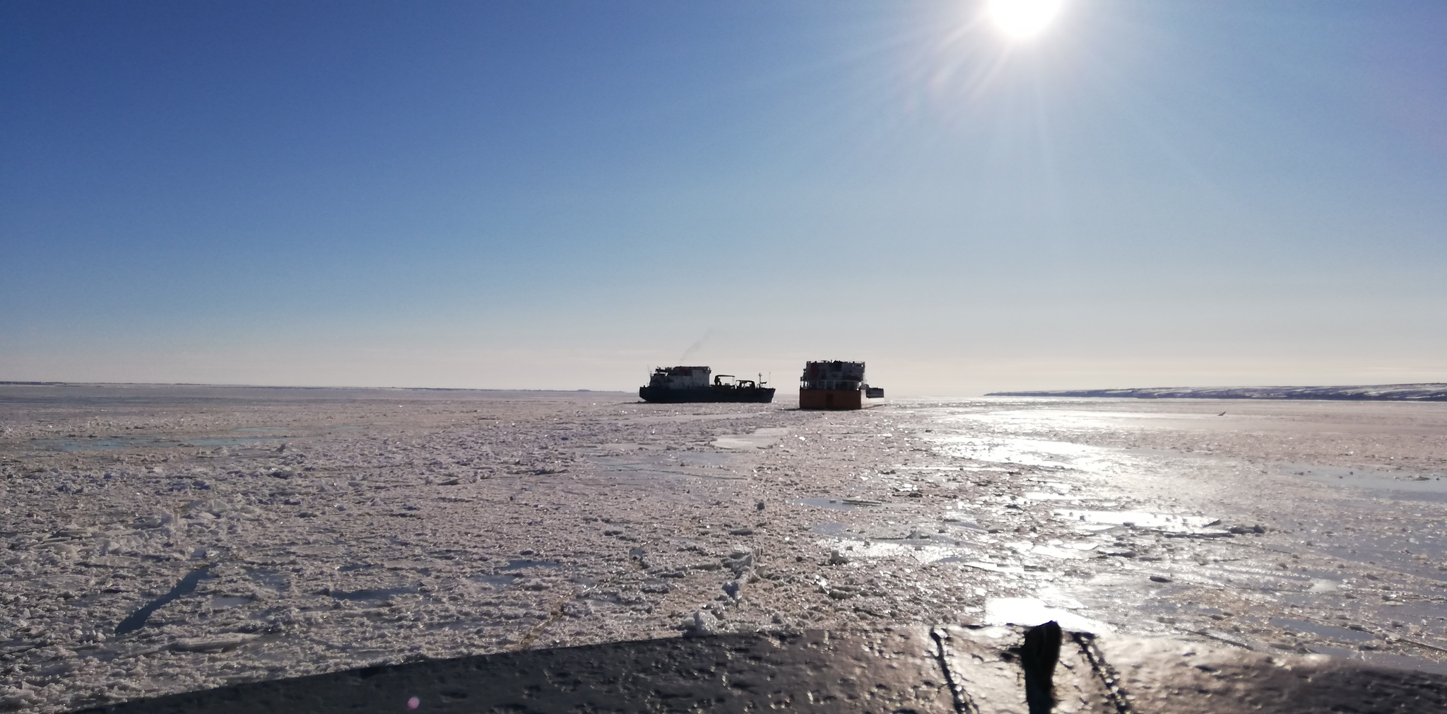 How barge haulers returned from the Volga, or another adventure of an ornithologist at sea - My, Ornithology, Bird watchers, The science, Work, Expedition, Sea, River, Video, Longpost