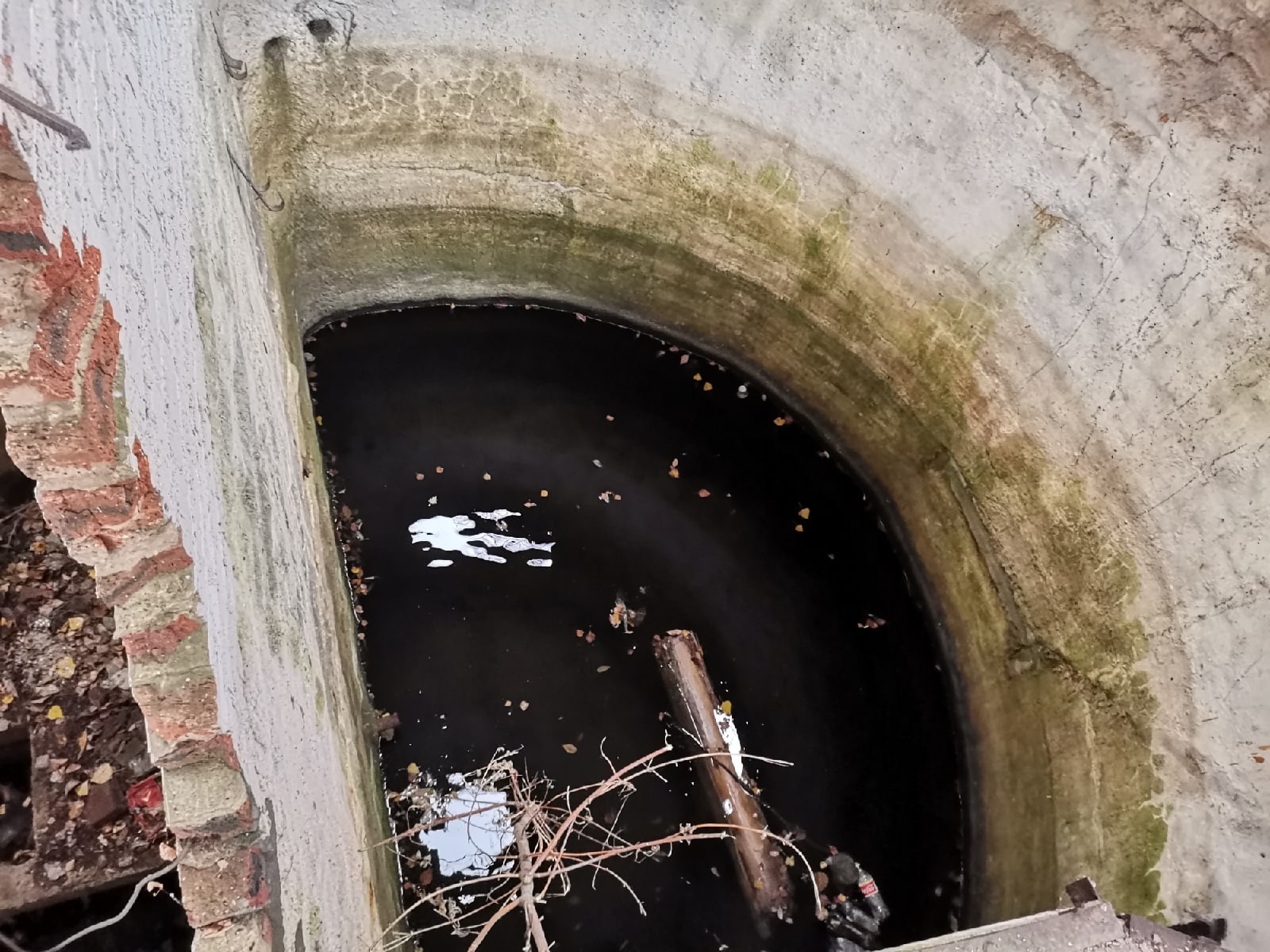 Water captivity or rescuing a dog from an abandoned sewage treatment plant - My, Rescuers, Dog, Video, Longpost