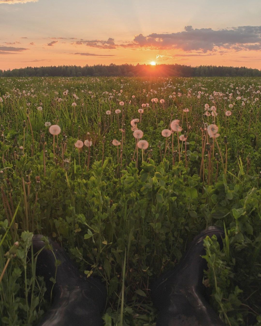 Omutninsk, Kirov region - Russia, The photo, Nature, The nature of Russia, Omutninsk, Longpost