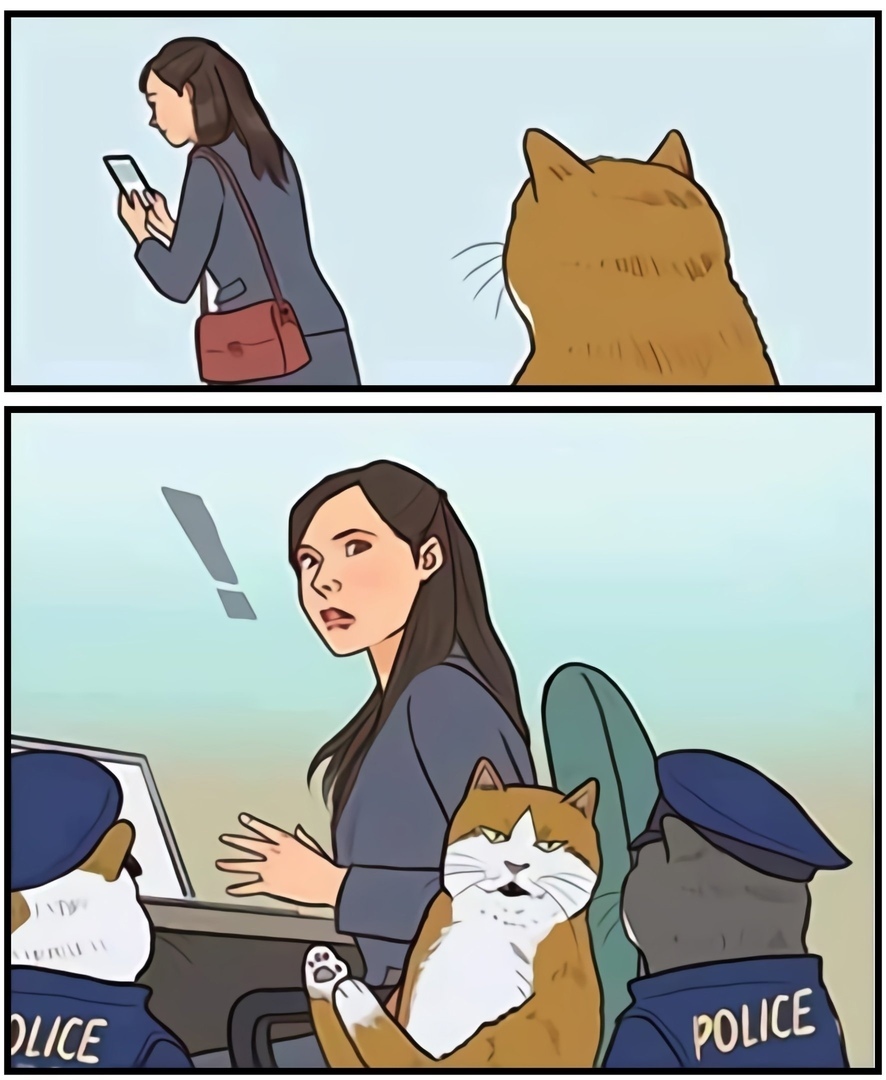 Don't take pictures - Comics, The photo, cat, Humor, Longpost, Bouncebacktolifecomics