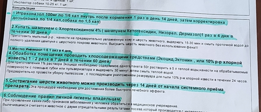 Продолжение поста «Дураков жизнь не учит» - Моё, Кот, Спасение животных, Вакцинация, Фотография, Истории из жизни, Воспоминания, Ответ на пост, Длиннопост