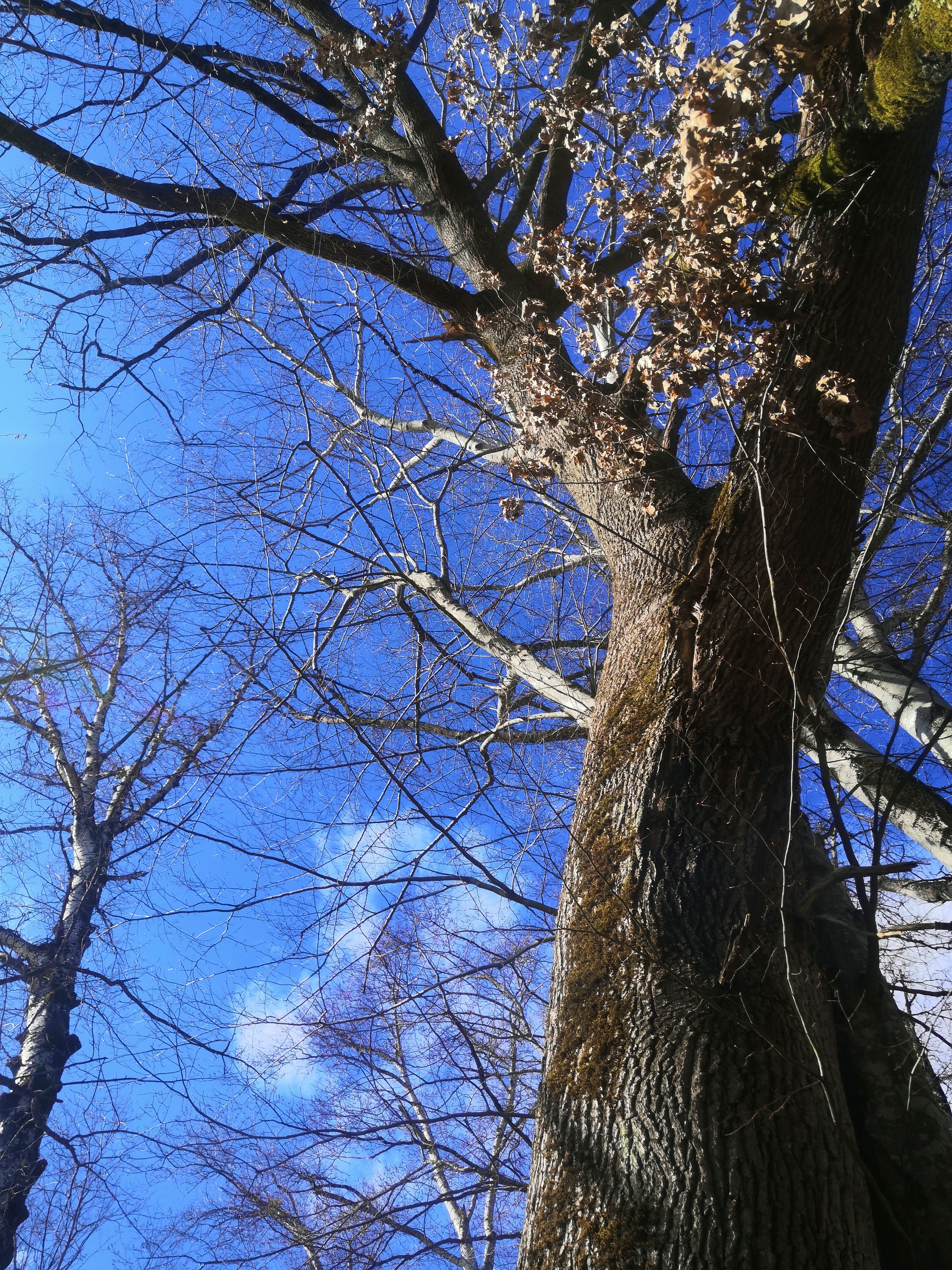 Spring hike in the mountains - My, Nature, Hike, River, beauty, The photo, Longpost