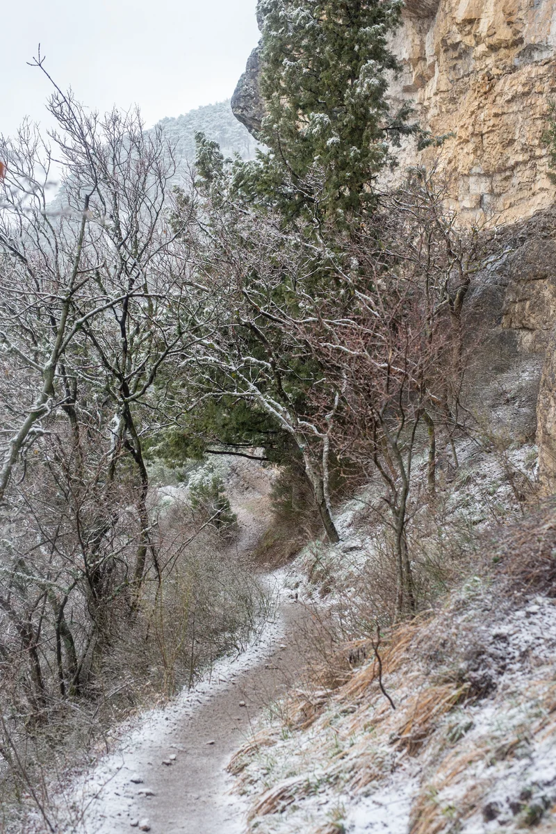 It’s the end of March in Crimea, and it’s winter again - My, Crimea, Hike, Travels, sights, Winter, The mountains, Excursion, Trails, Route, Nature, Weather, beauty, Reserves and sanctuaries, Botkin Trail, Video, Longpost, Screenshot