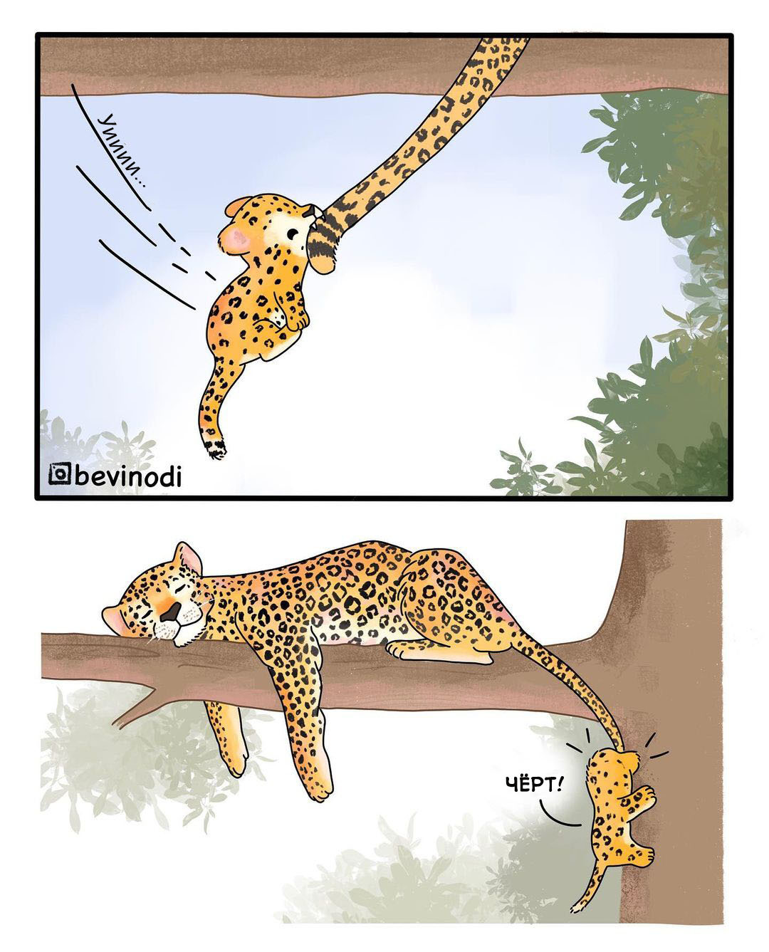 With the wind - Bevinodi, Leopard, Comics, Young