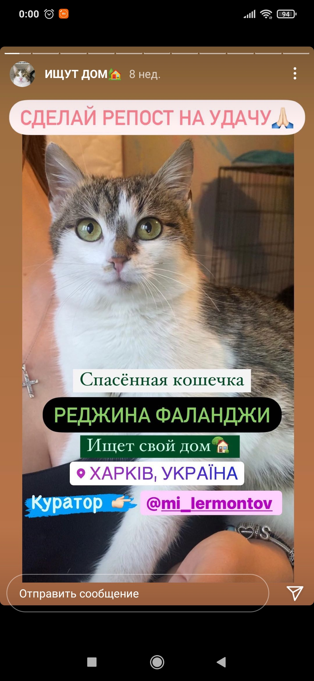 Кто хочет друга? Харьков, Украина | Пикабу