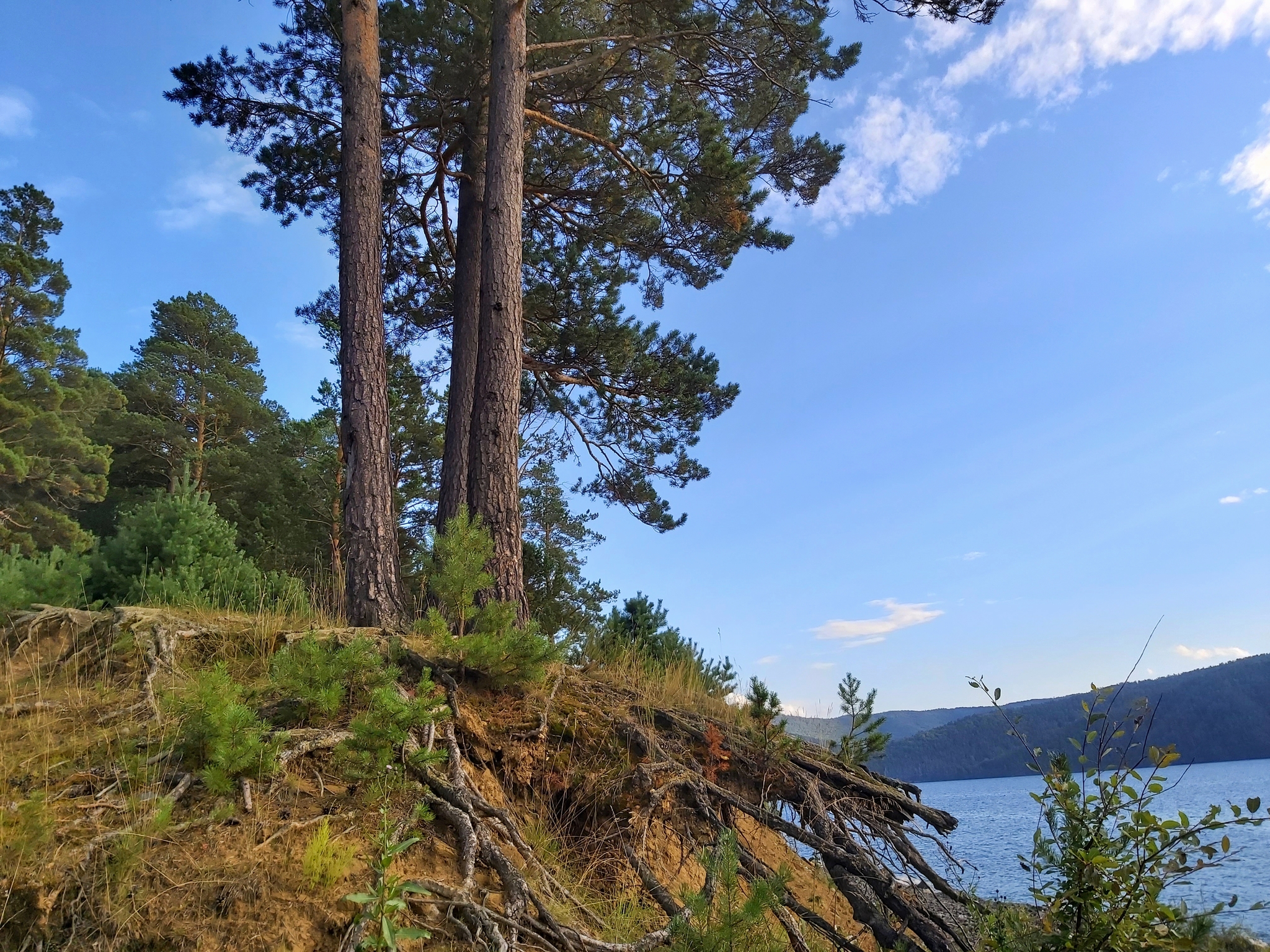 Do you want summer to come soon?! - My, Nature, Siberia, Summer, beauty of nature, The photo