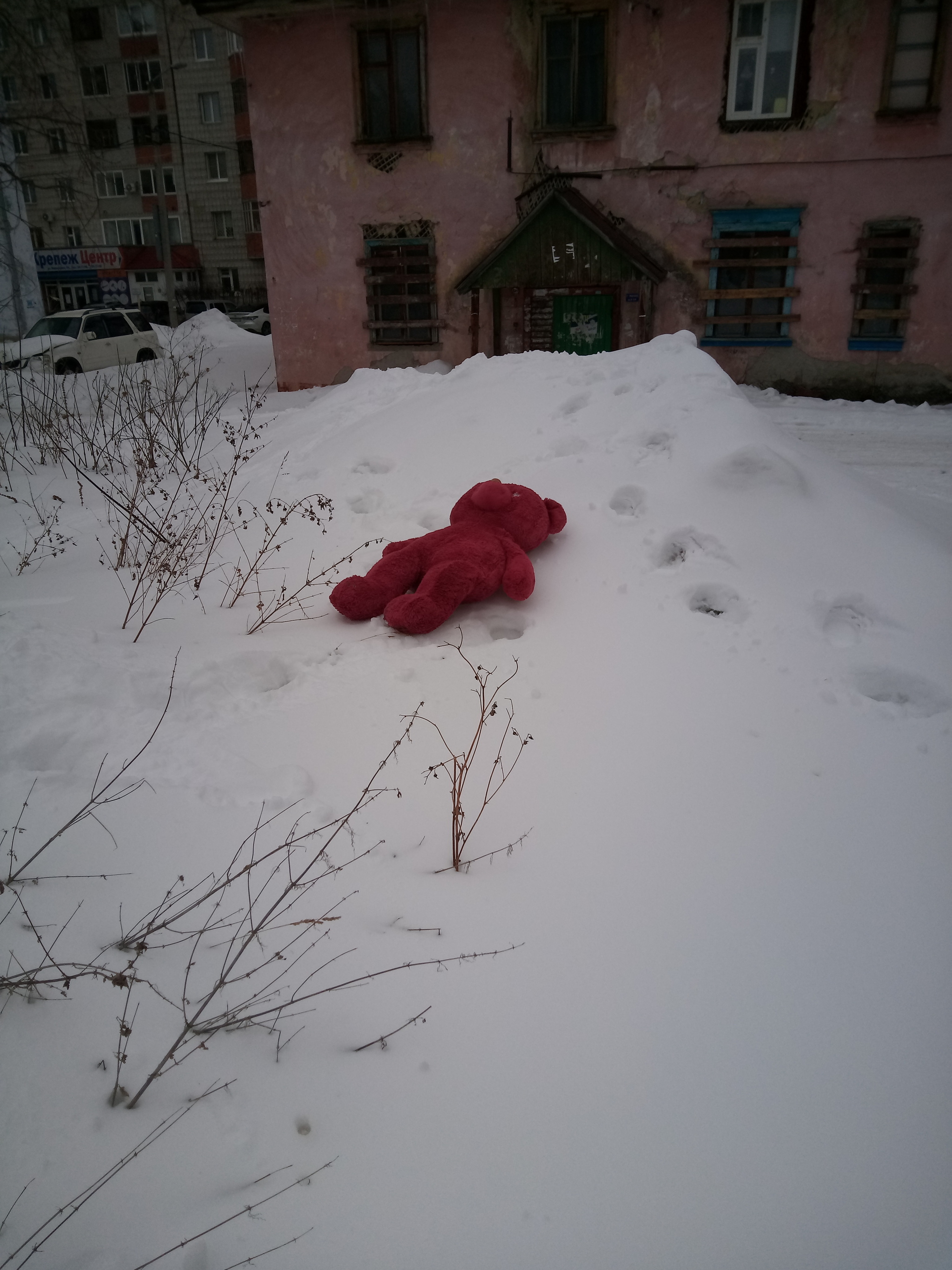 The hopelessness of the Russian province - My, Hopelessness, Provinces, Teddy bears