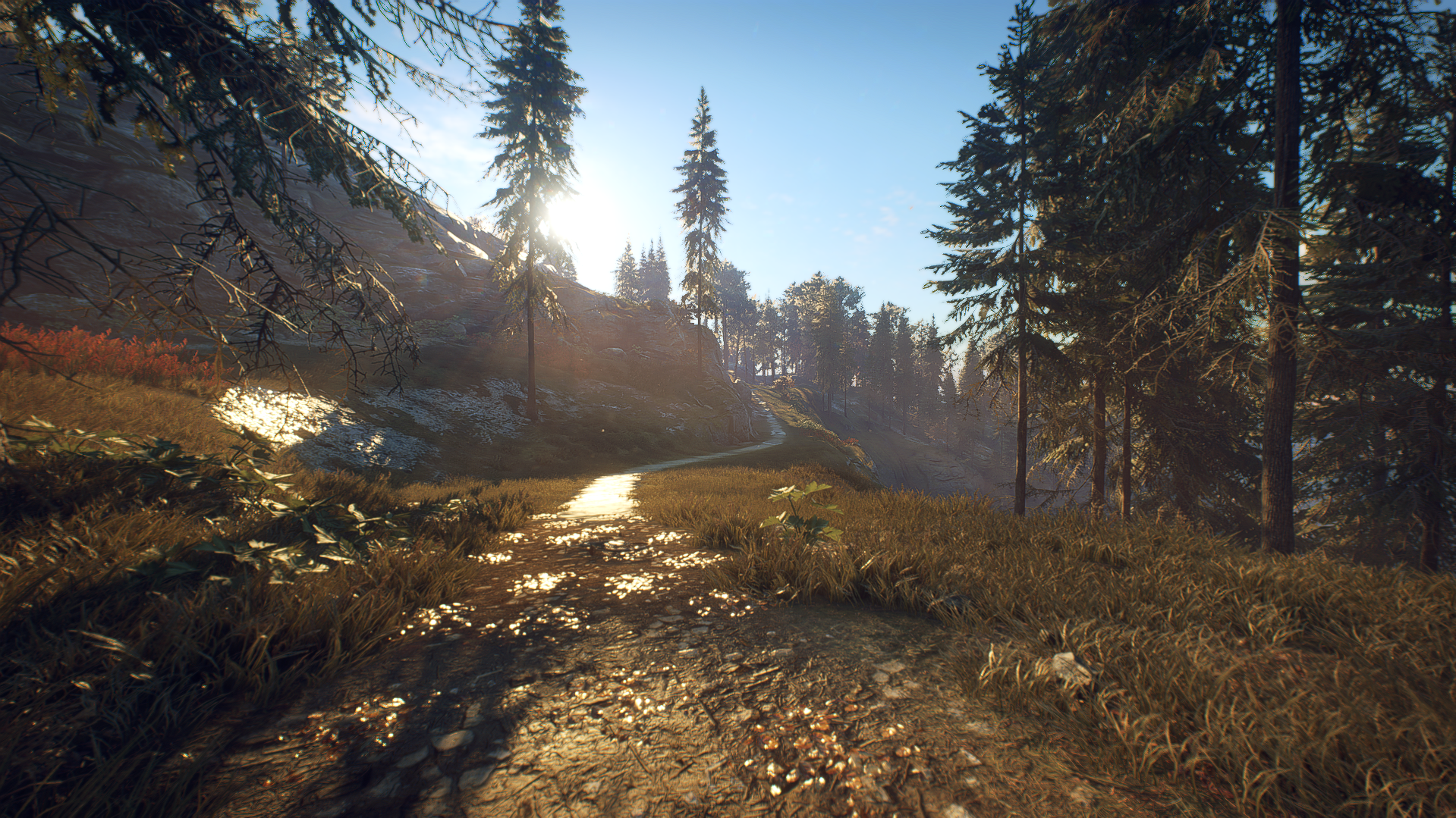 The beauty of Sweden - My, Sweden, Nature, Games, Screenshot, Longpost, Generation Zero