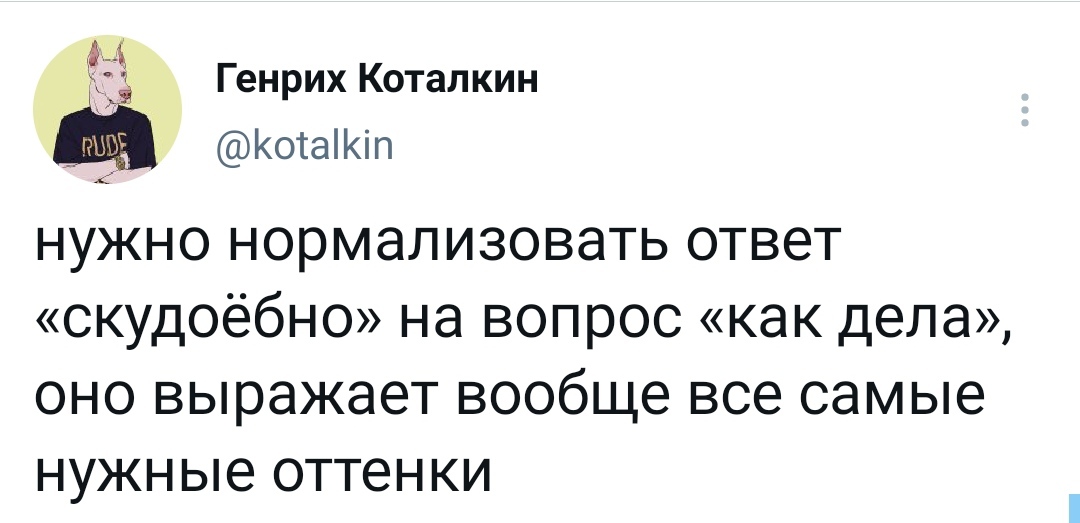 Почти сносно - Сносно, Слова, Как-То так, Скриншот, Twitter, Мат