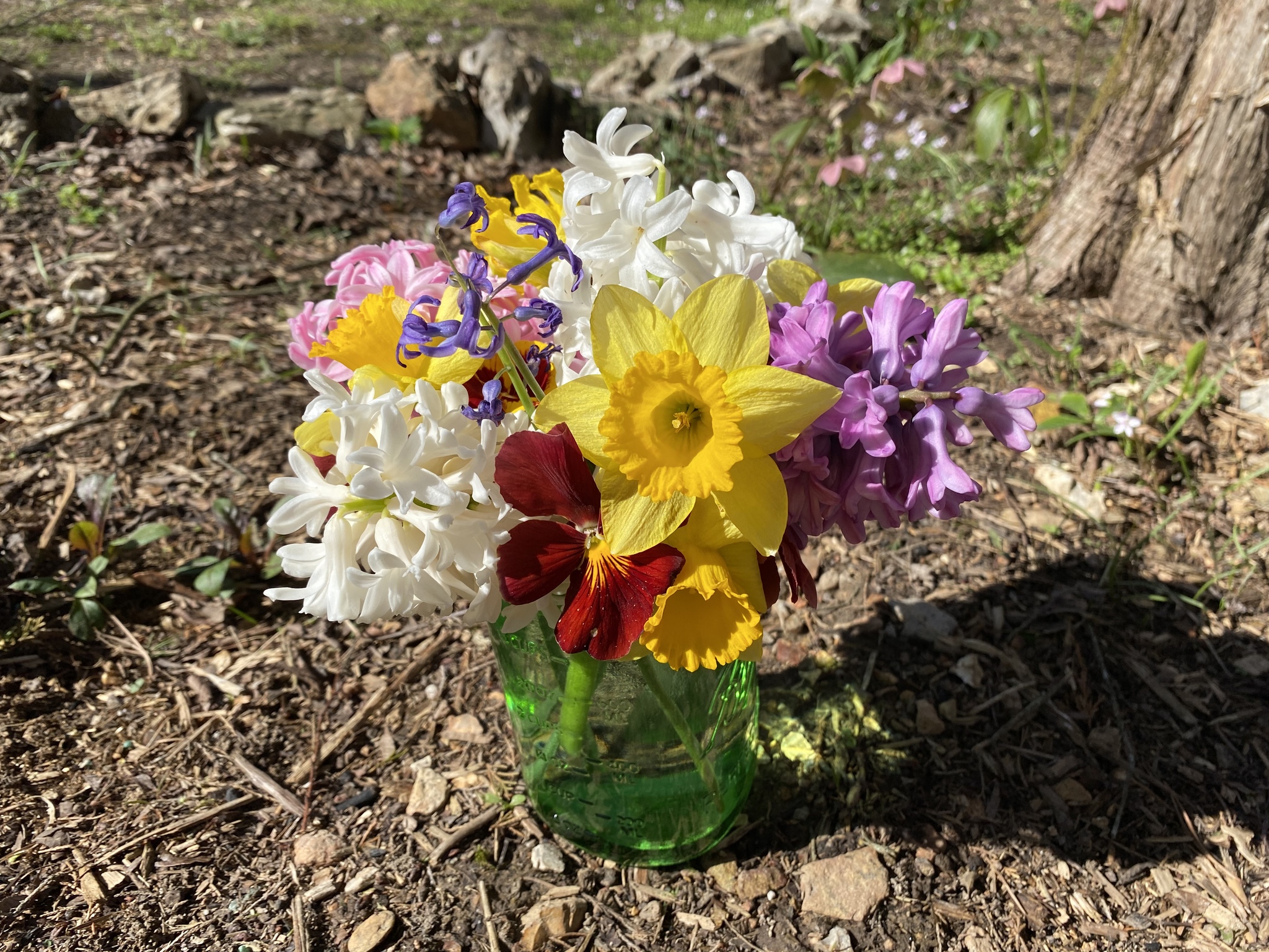 Vegetable garden in touch! - My, Garden, Flowers, Spring, Longpost