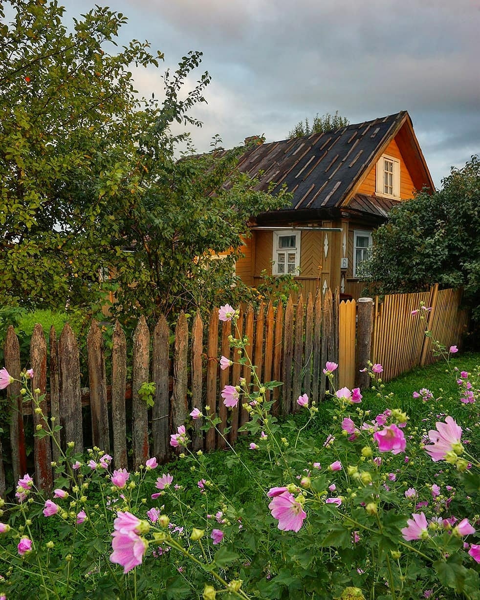 трава у дома в деревне название (94) фото