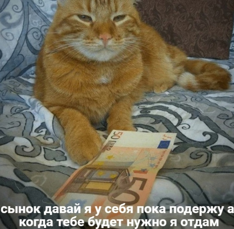 When relatives gave money for a toy - Parents and children, cat, Vital, Mum, Childhood