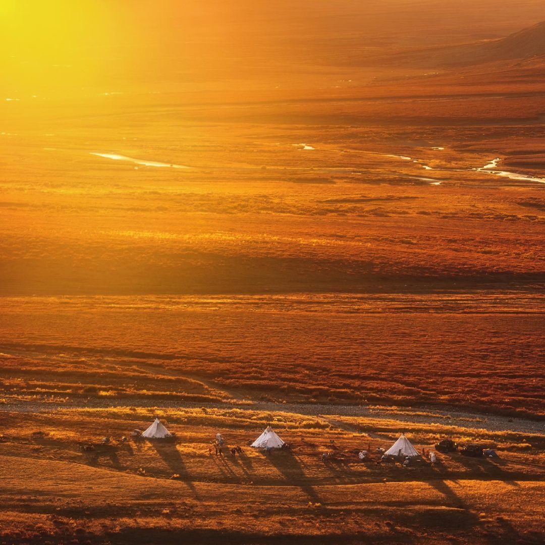 Sunset over the reindeer herders' camp - Polar Urals, YaNAO, Nomads, Sunset, The nature of Russia, Travel across Russia, Camp, The photo