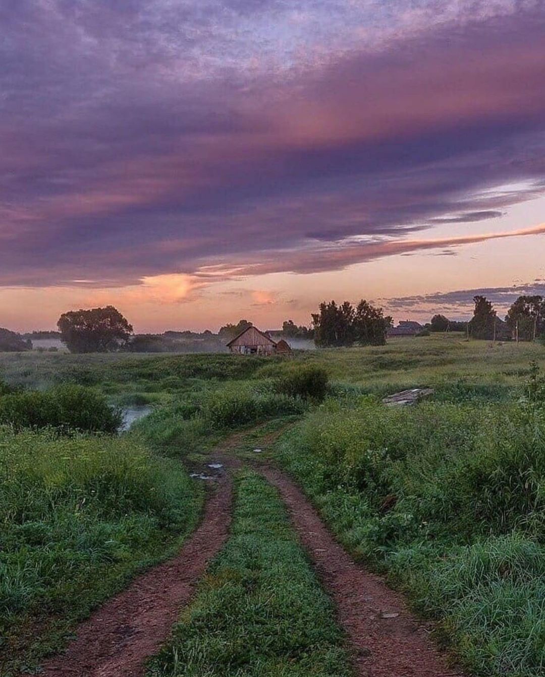 Photos from a serene childhood... - The photo, Childhood memories, Longpost, Village, Sky, Cow, cat, Flowers, Field