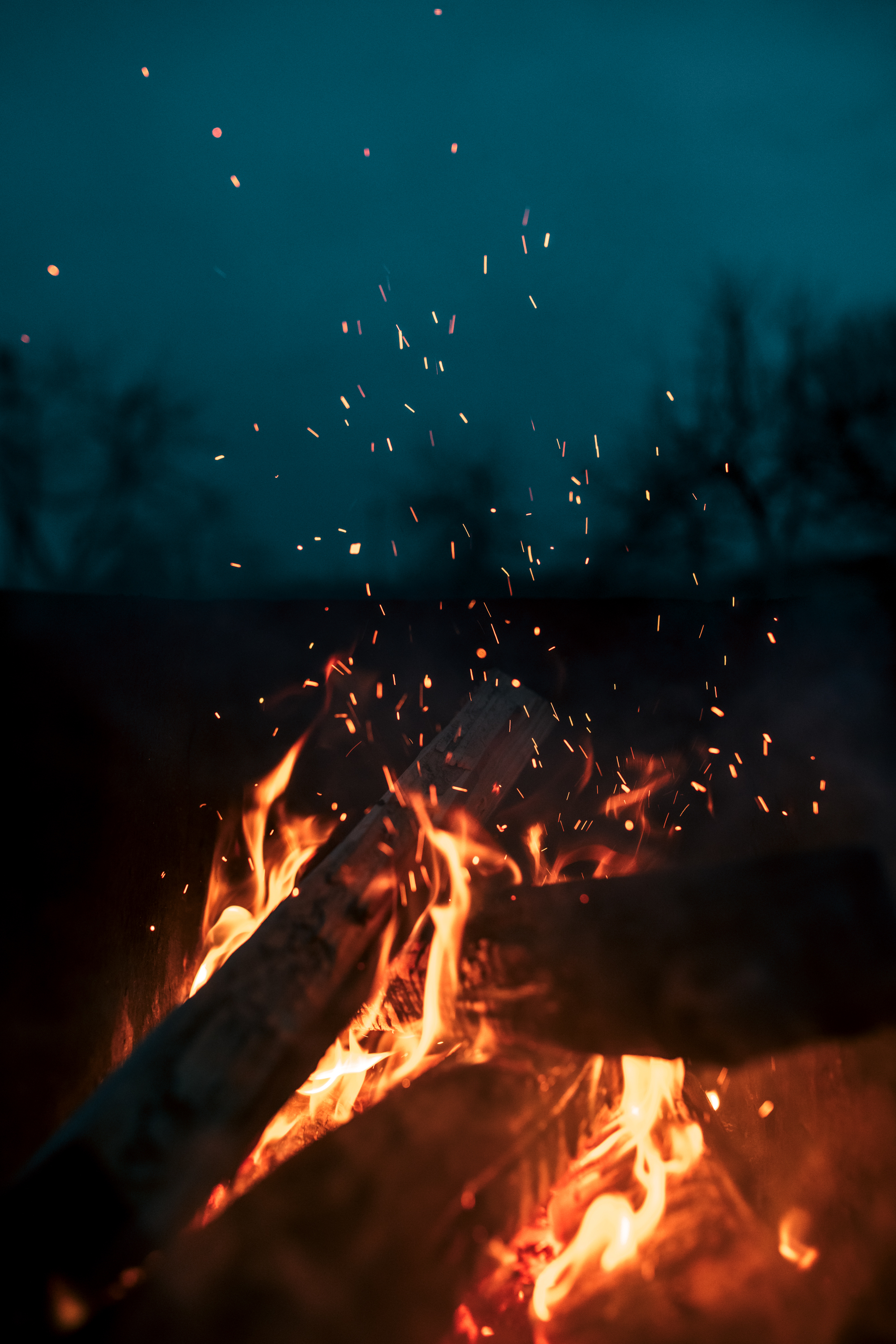 Spring flowers - My, Spring, Thoughts, April, Fire, The photo, Author's story, Bonfire, Longpost