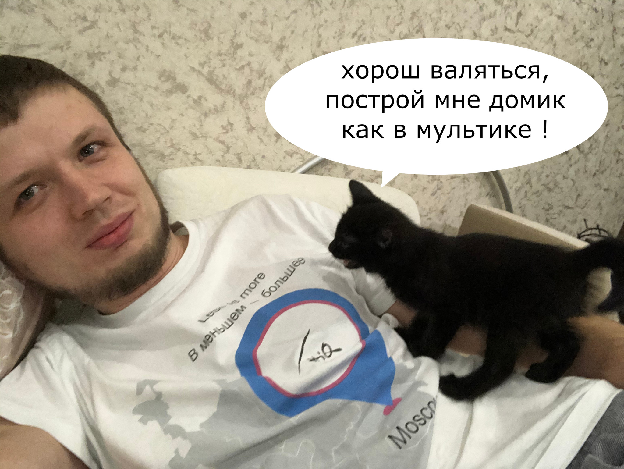 Котий дом) - Моё, Кот, Домик для питомца, Своими руками, Длиннопост, Позитив