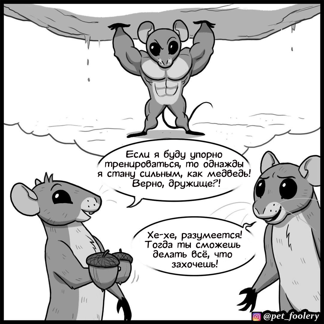 Life Lesson - Pet foolery, Comics, Mouse, Snake, Longpost